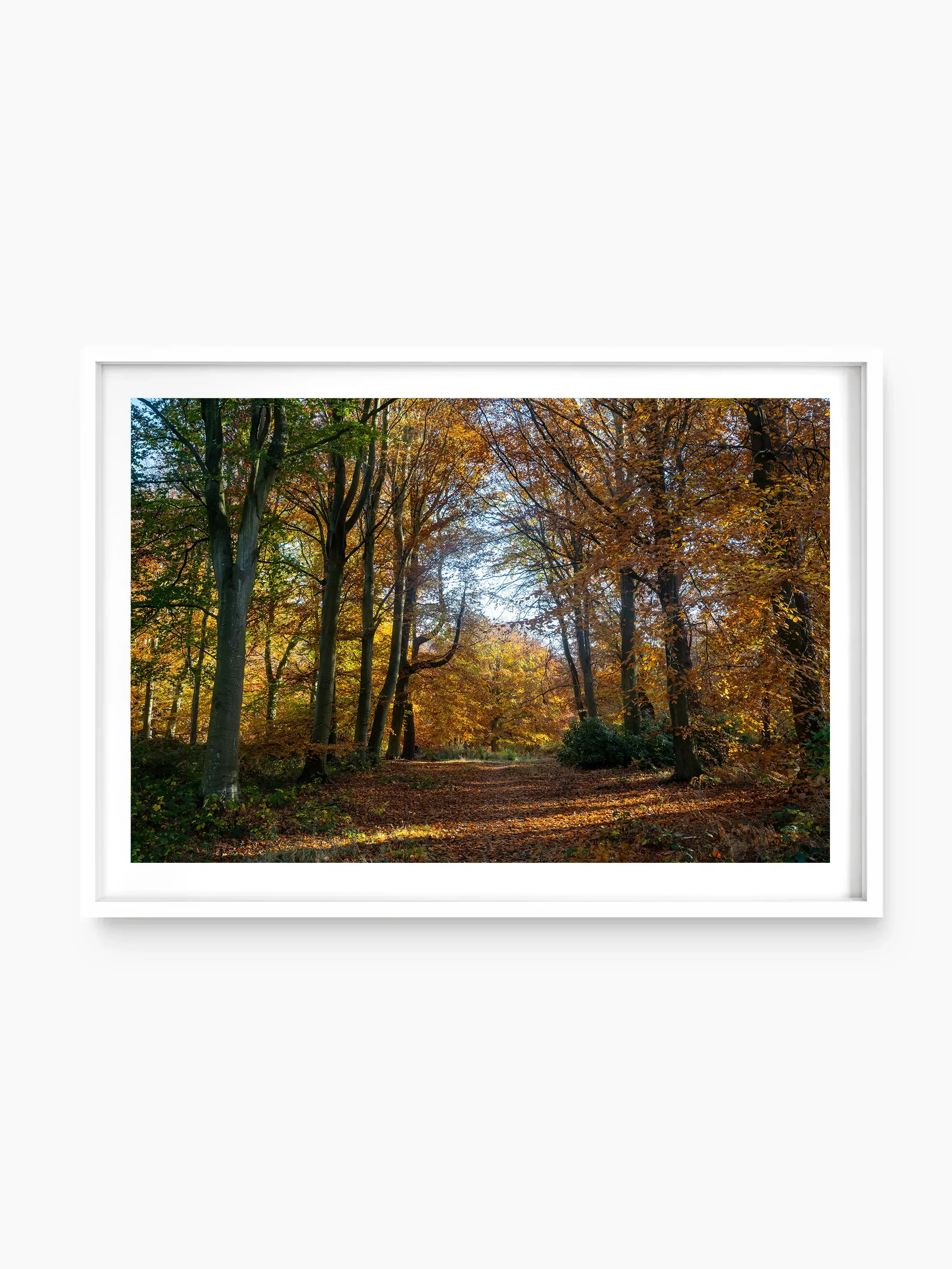 Woodlands, Longniddry