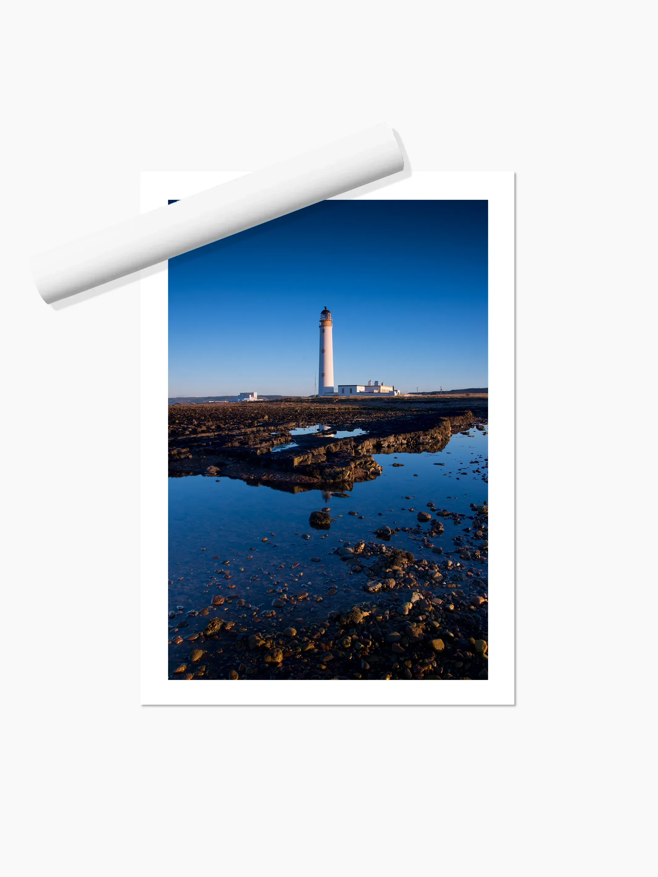 Portrait_print copy.webp