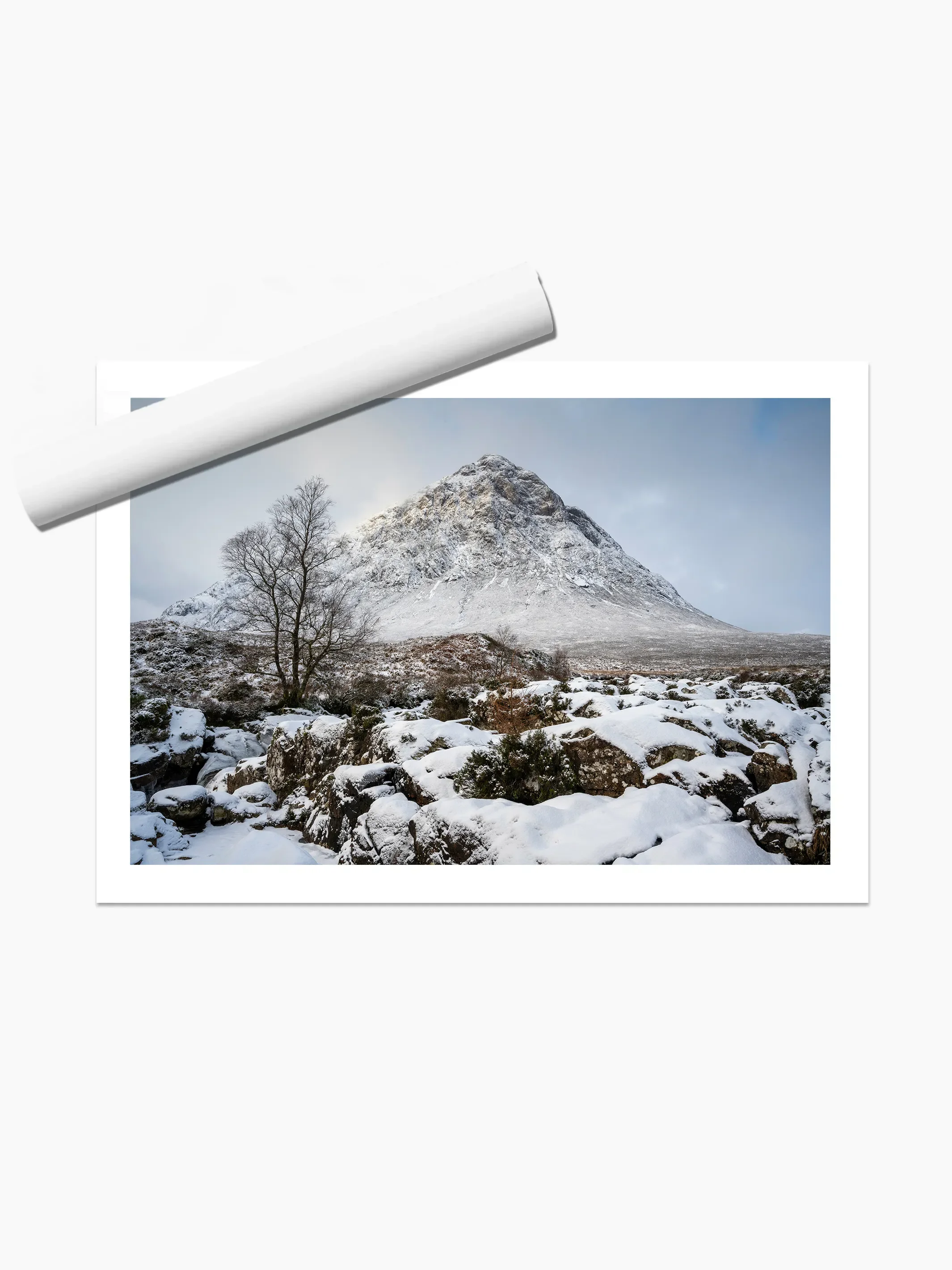 print template copy.webp