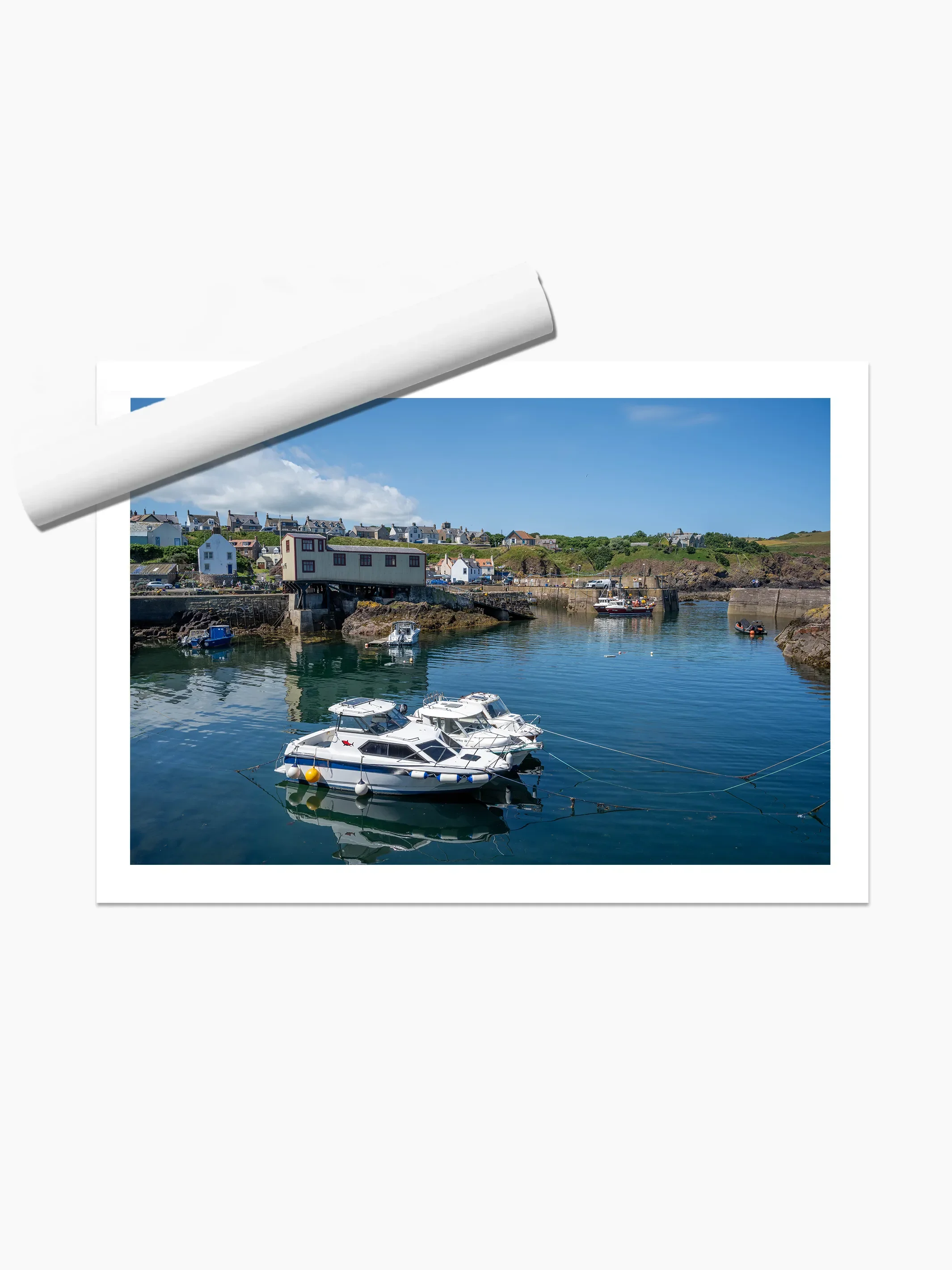 print template copy.webp