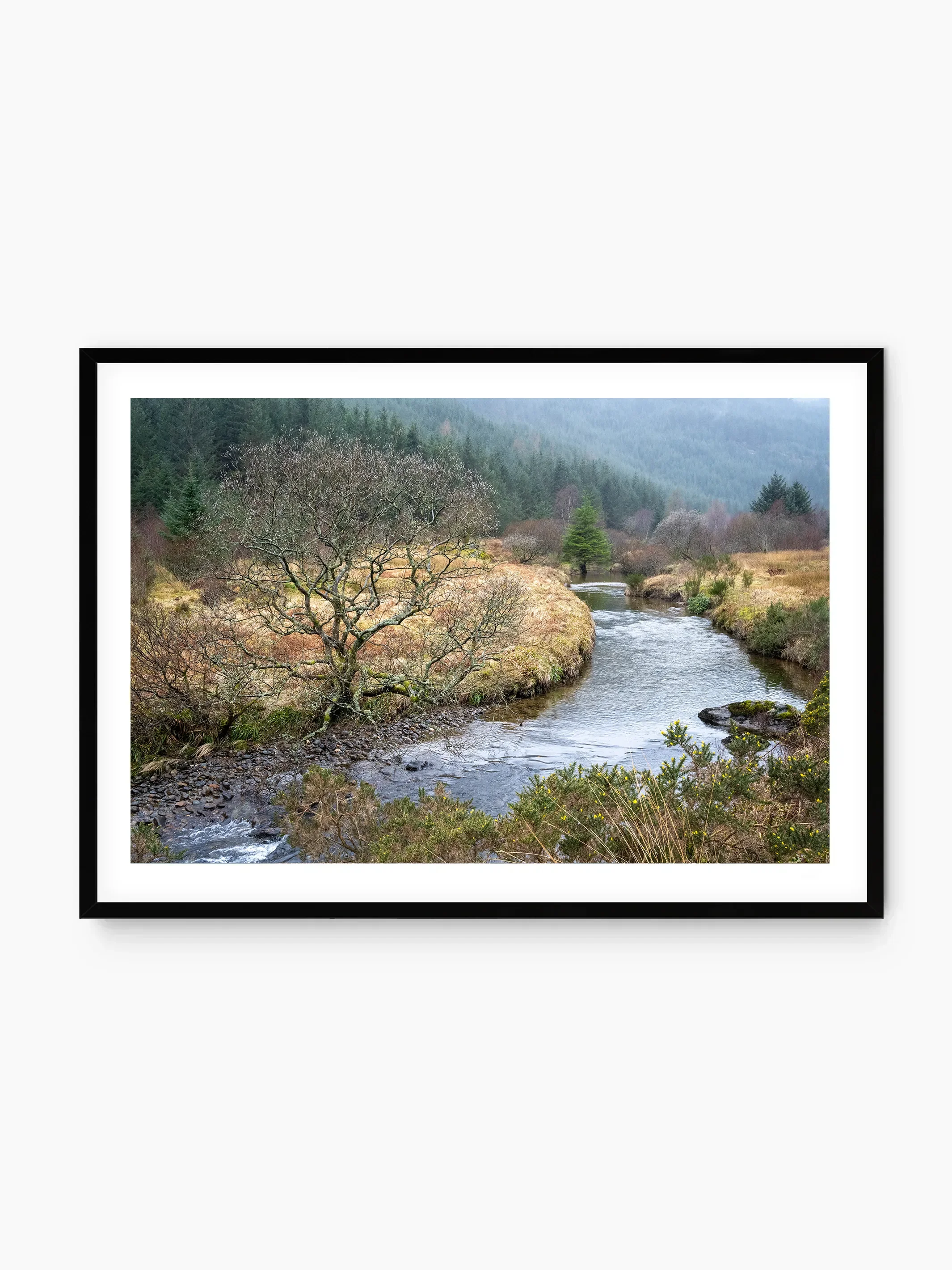 black_template copy.webp