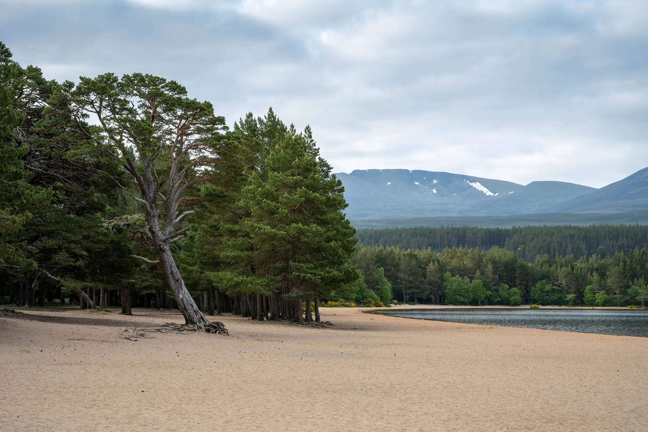 Loch Morlich, Aviemore