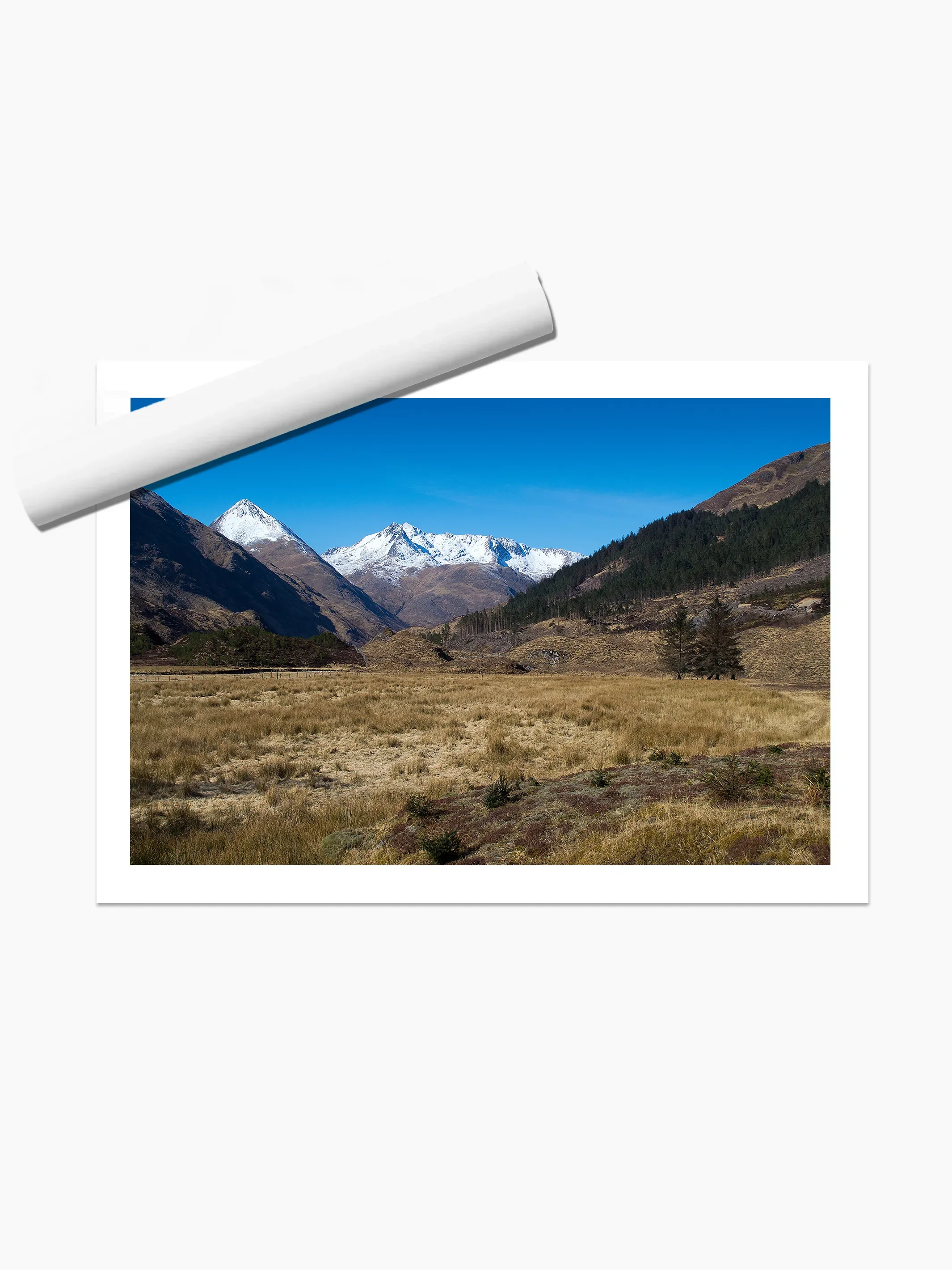 print template copy.webp