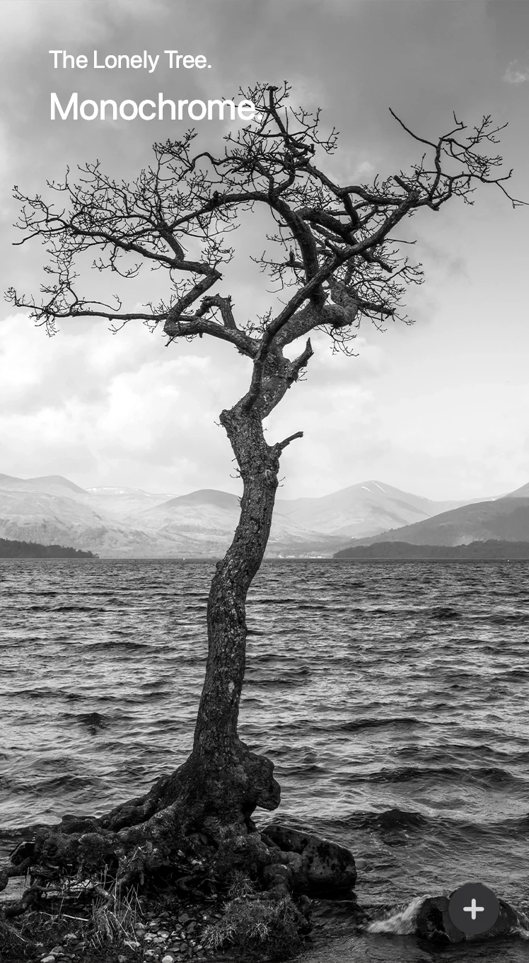 Loch Lomond, Scotland Captured, Stephen Ball, Scottish landscape photography 