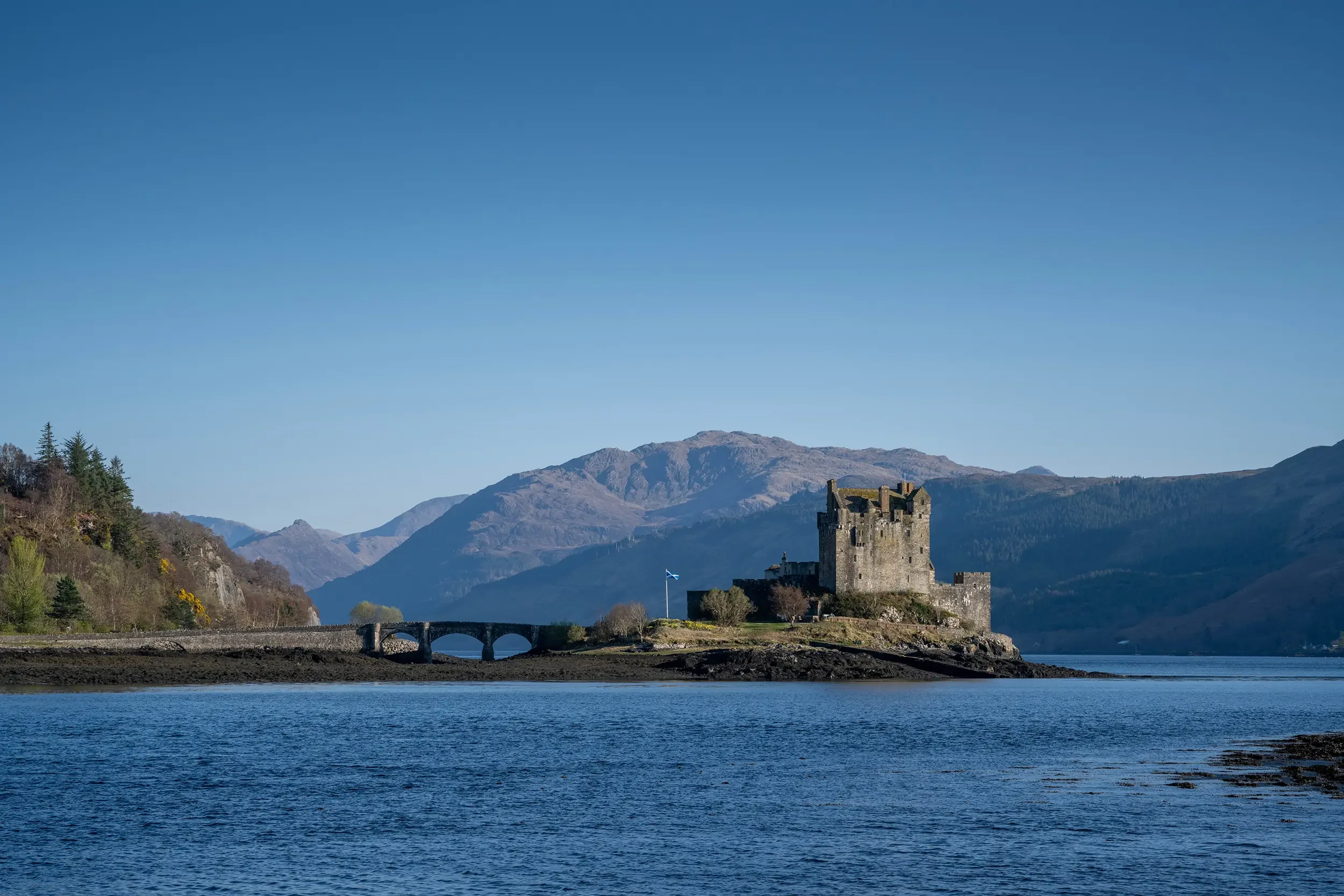 20250403-DSC_6949 copy 2.webp