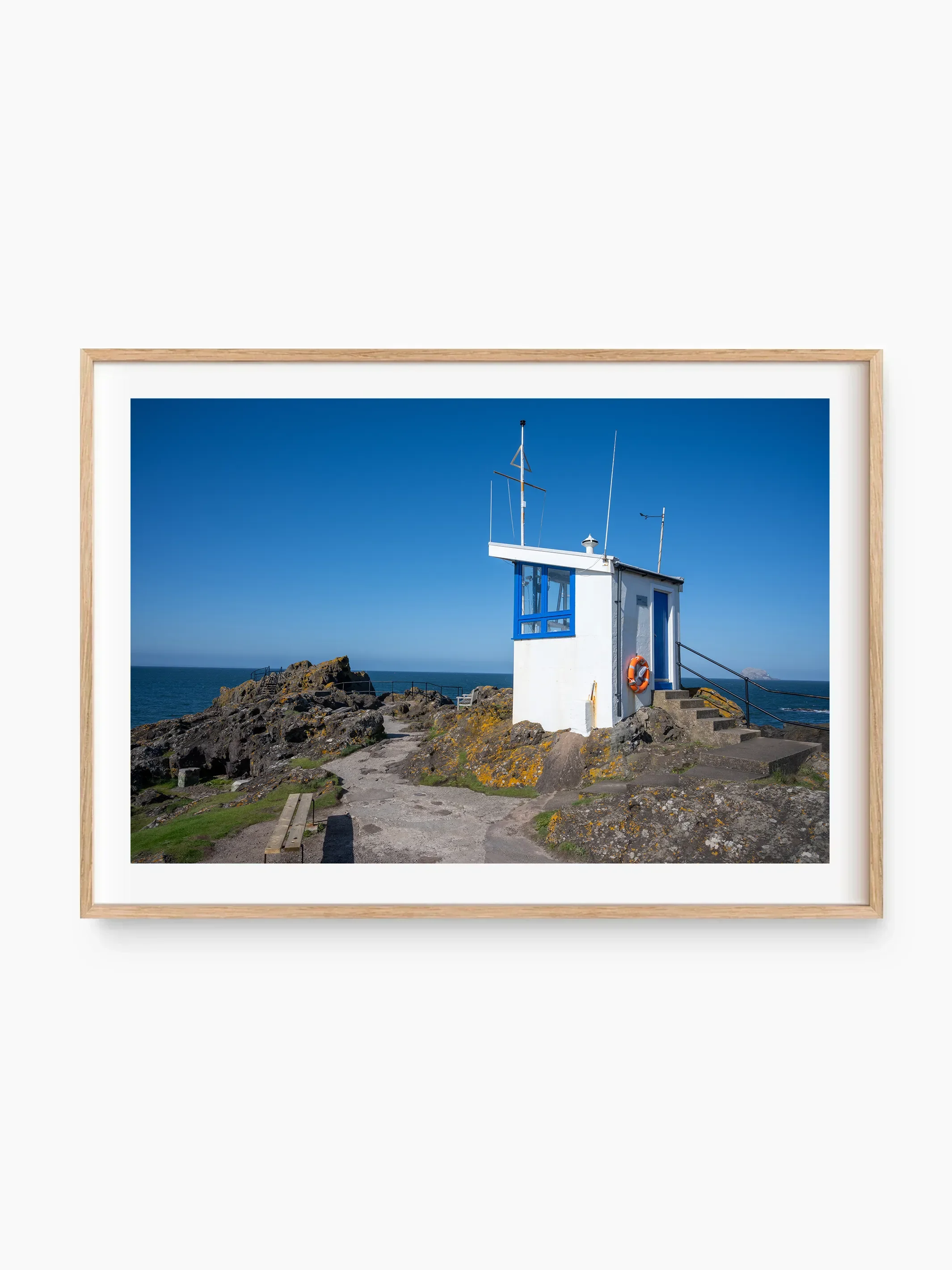 beech_template copy.webp