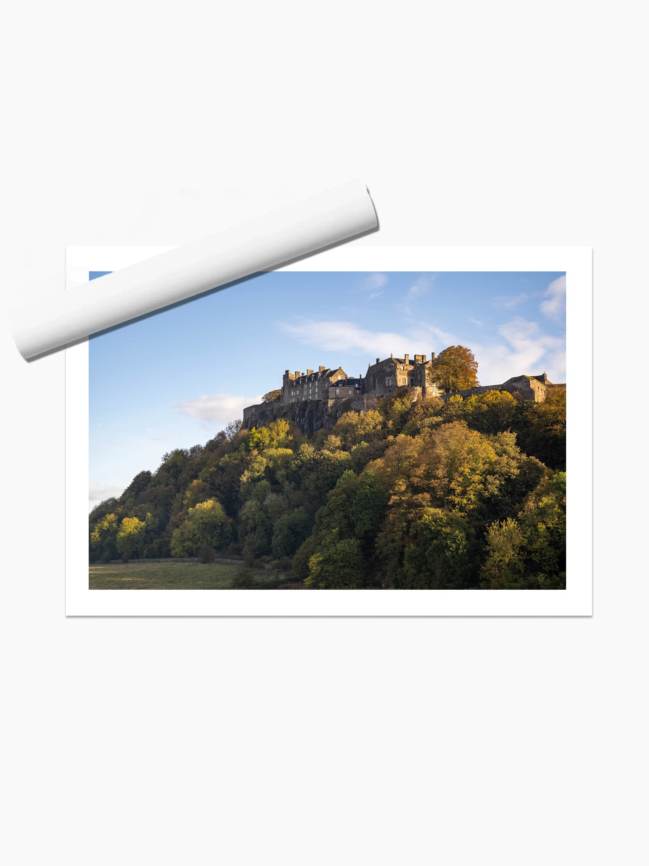 print template copy.webp