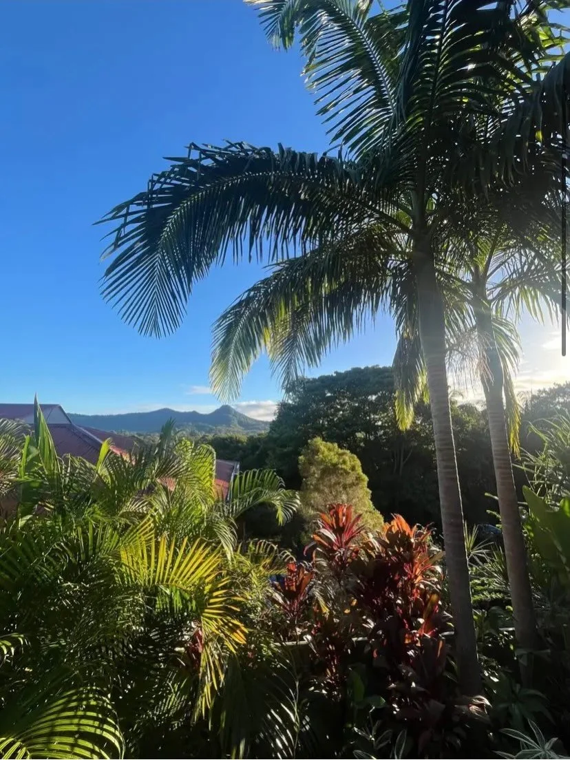 Three months since I moved to Australia. 💜

It&rsquo;s been quiet here for a while. Not because nothing was happening &mdash; but because everything was.

The last months (and honestly the last years) have been a profound dismantling of my life.
Los