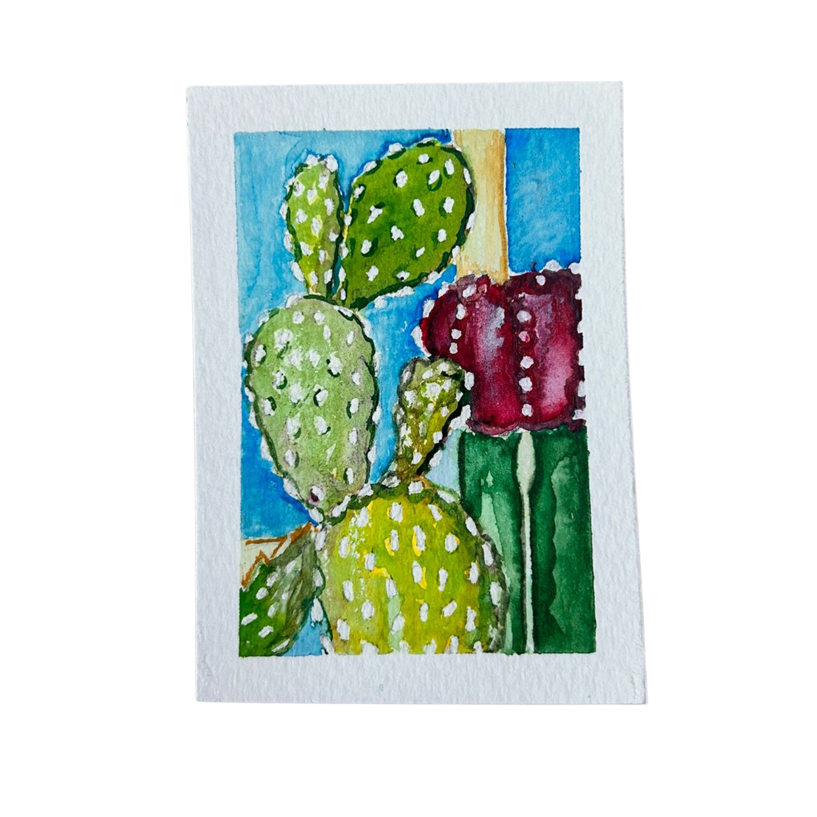 Cactus Flower ACEO 2.5inch x 3.5inch watercolour painting.png