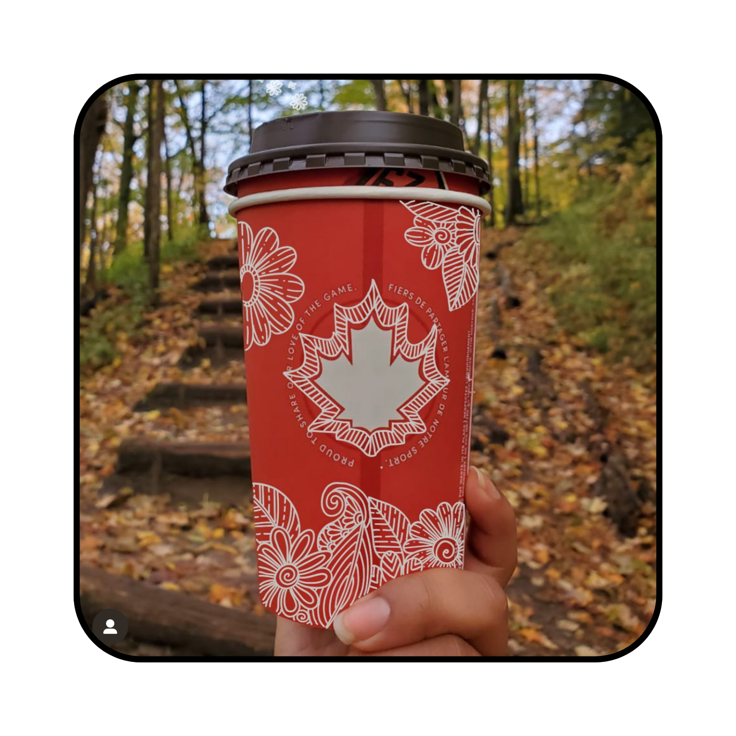 Procreate on Photograph