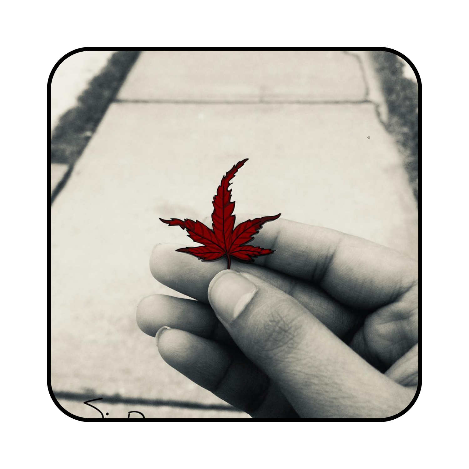 Autodesk Sketchbook on Photograph