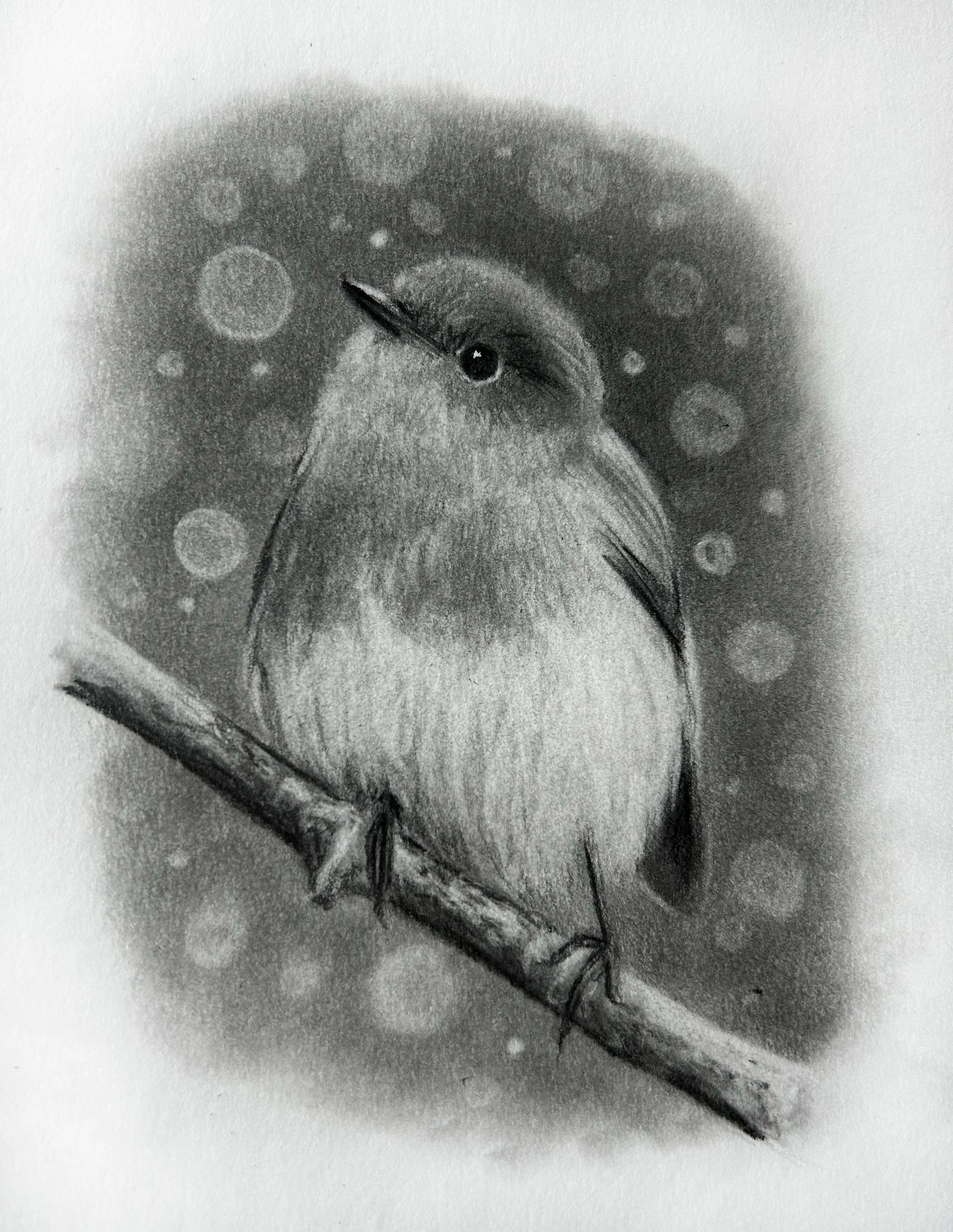 Christmas Robin A5 Card Print
