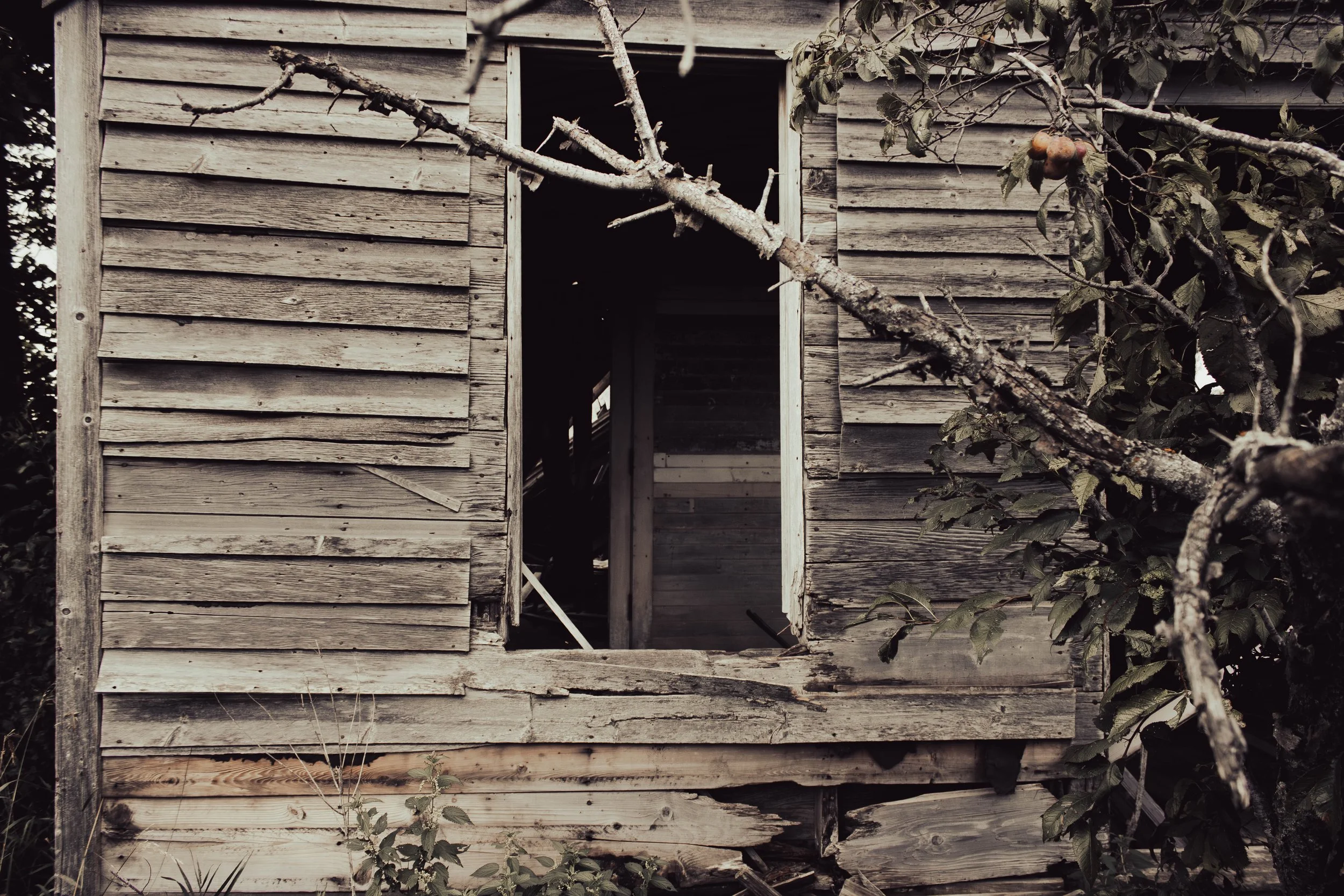 house-15.jpg