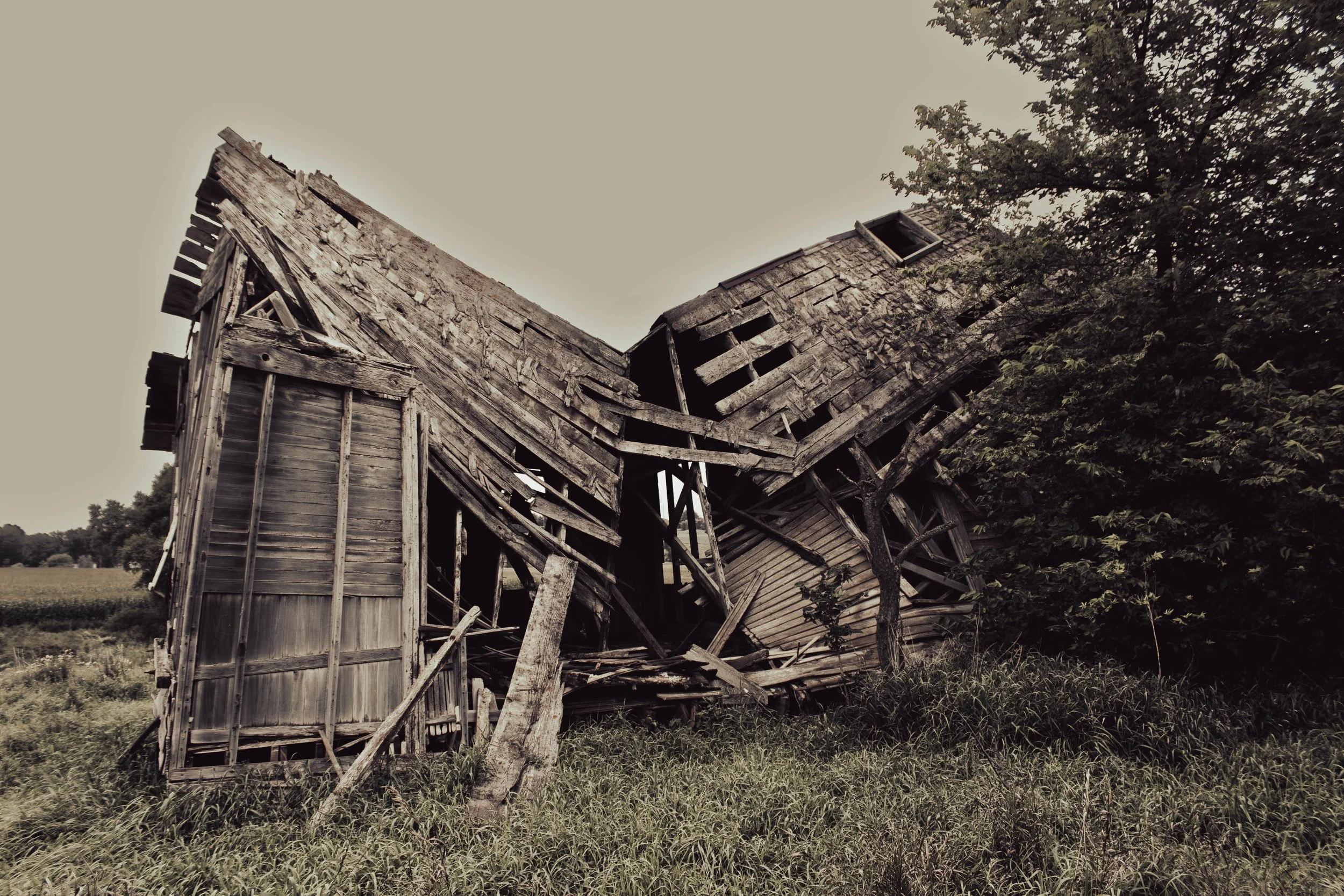 house-9.jpg