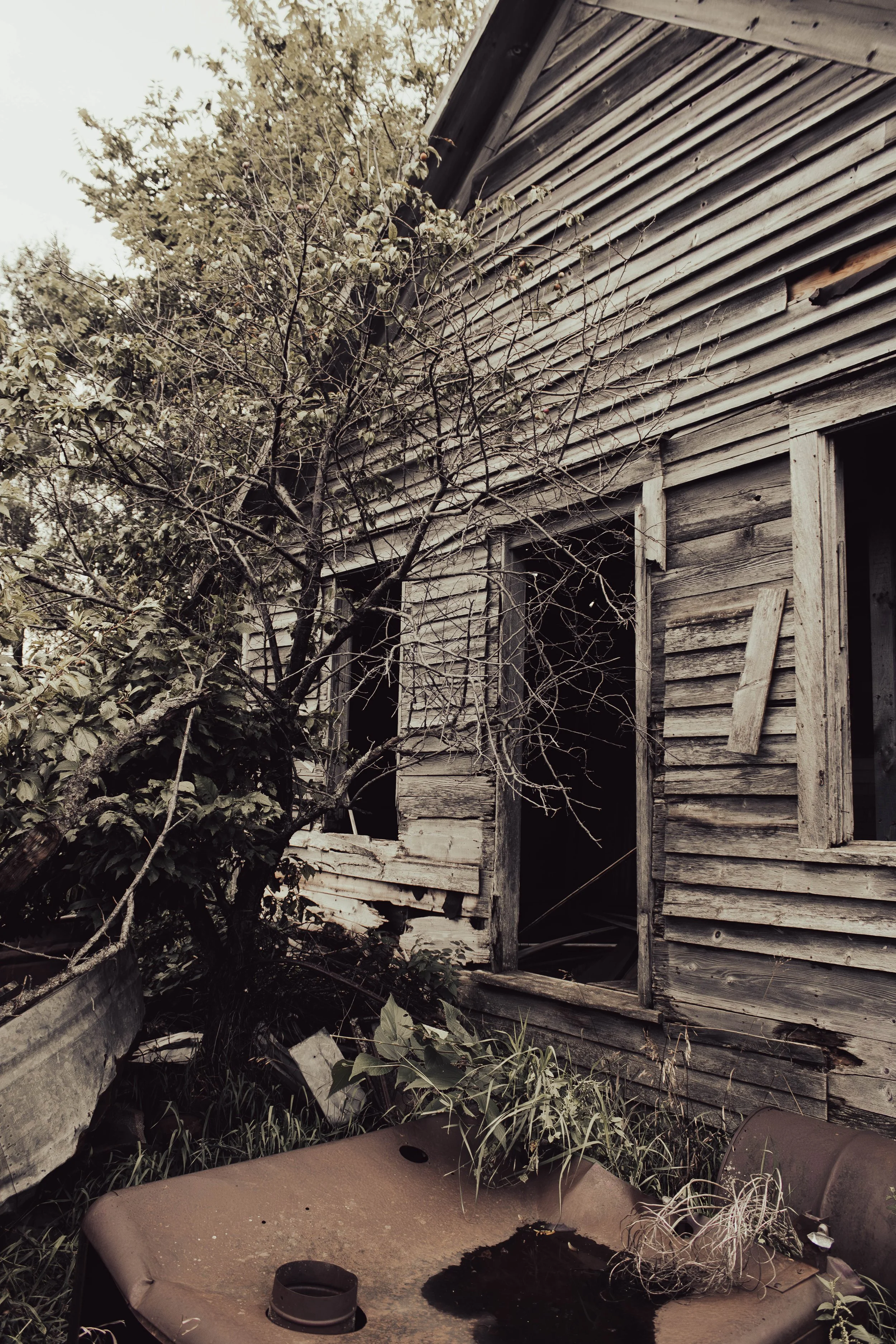 house-3.jpg