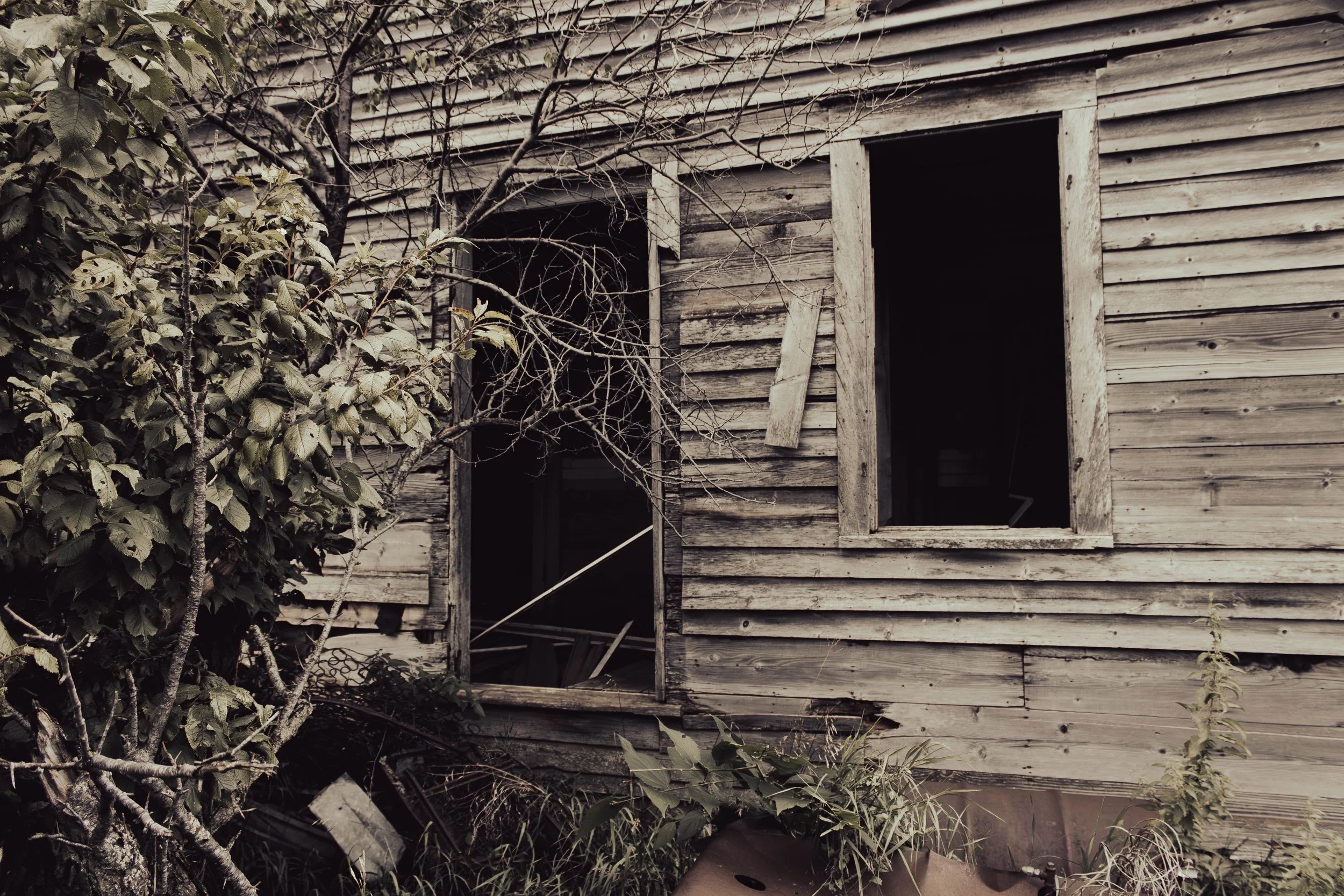 house-2.jpg