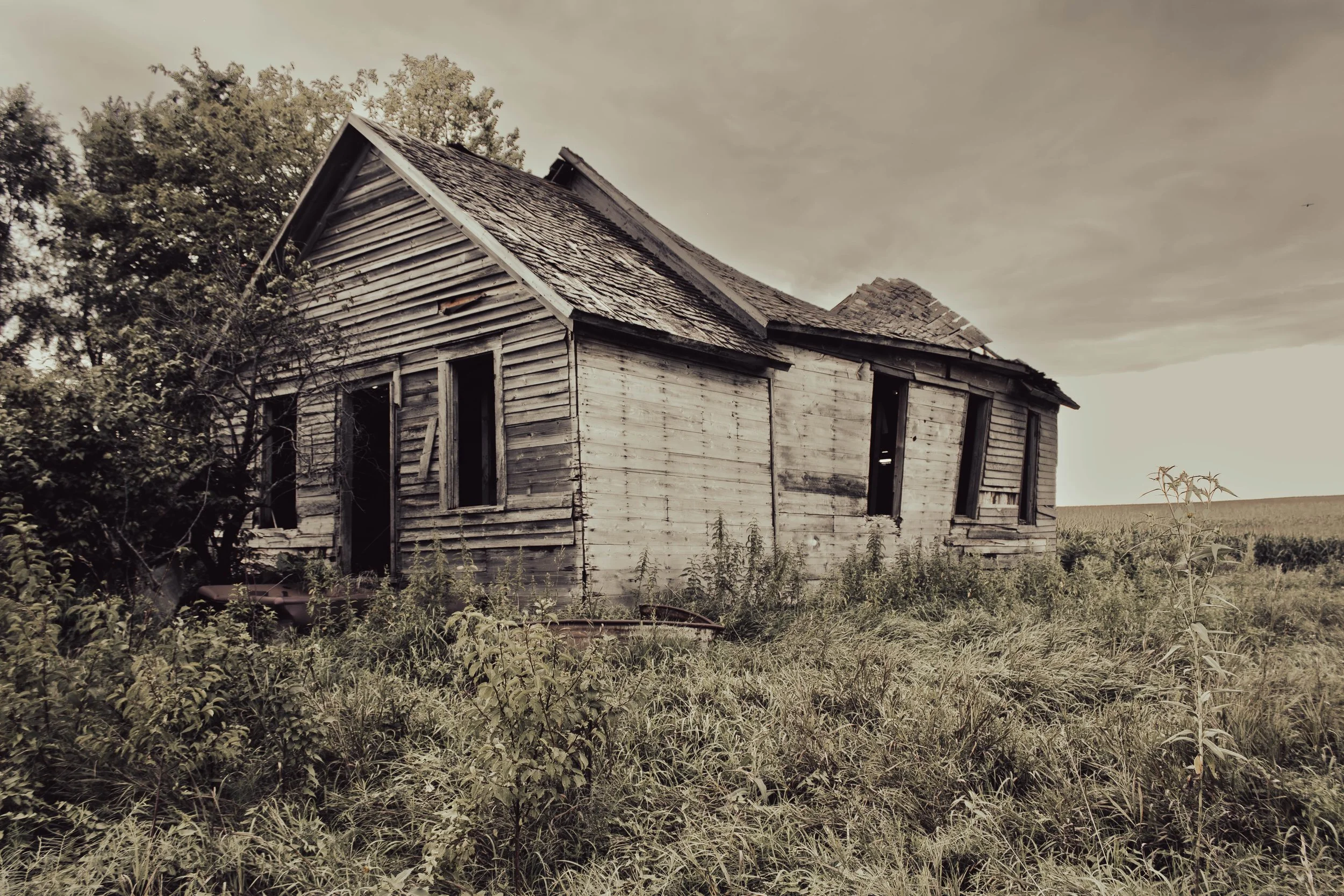 house-20.jpg