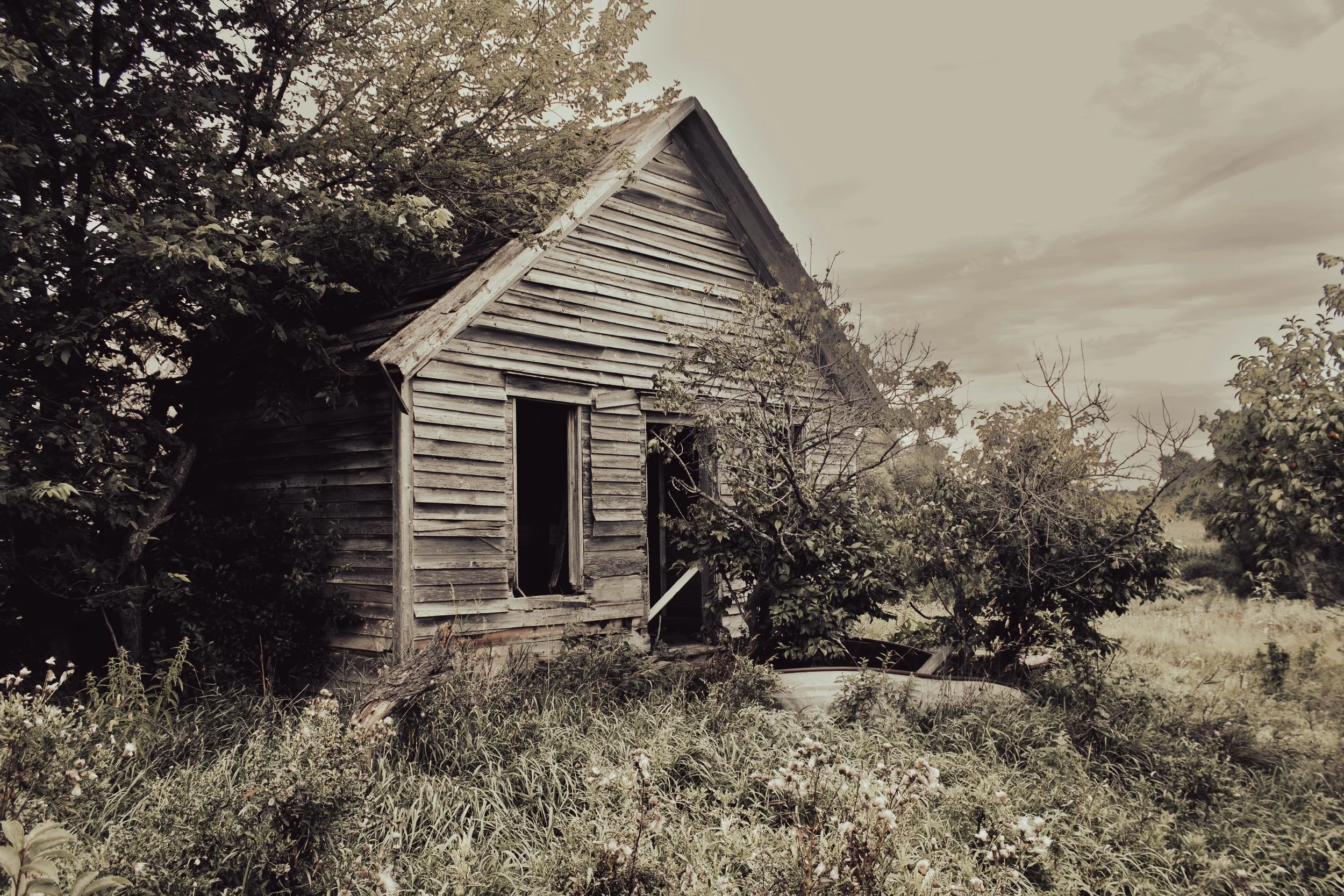 house-14.jpg