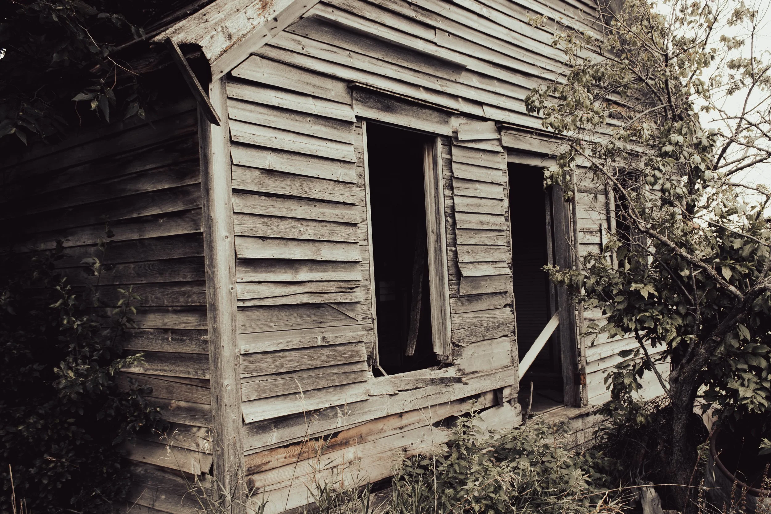 house-13.jpg
