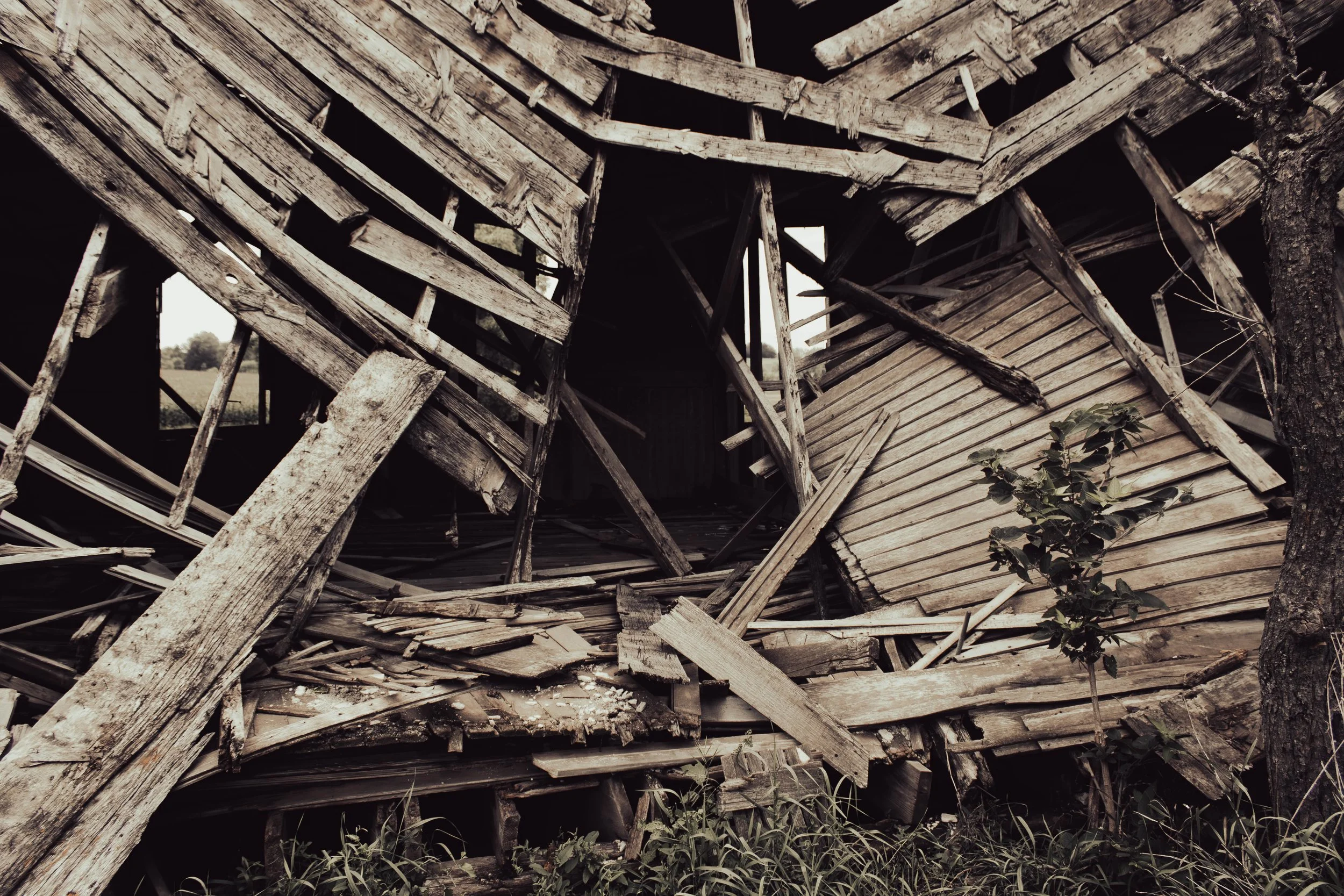 house-11.jpg