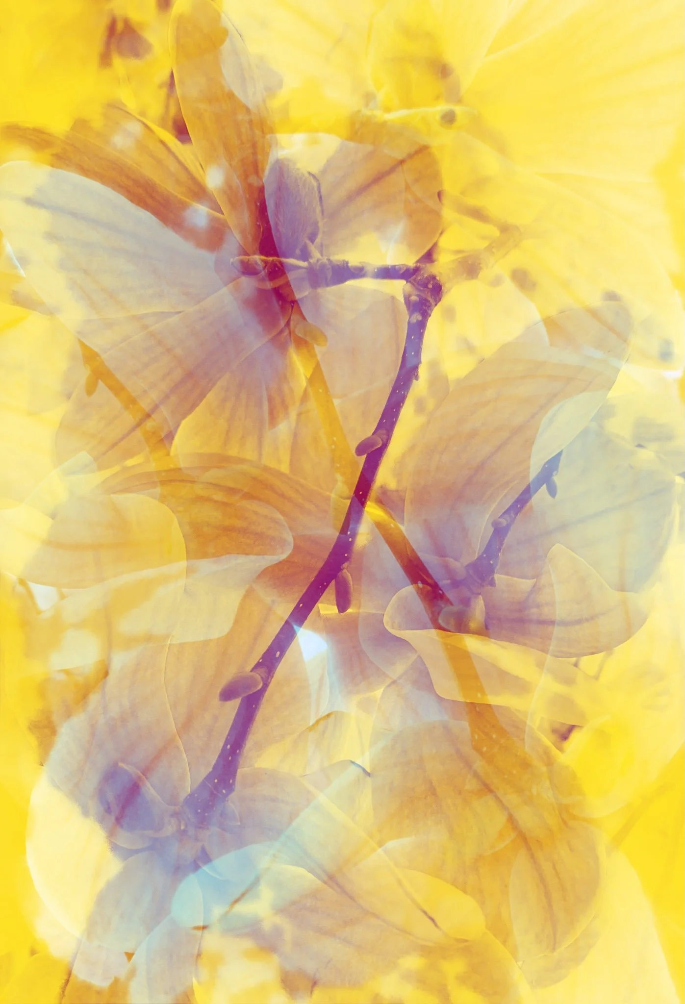 2021 / Untitled 4