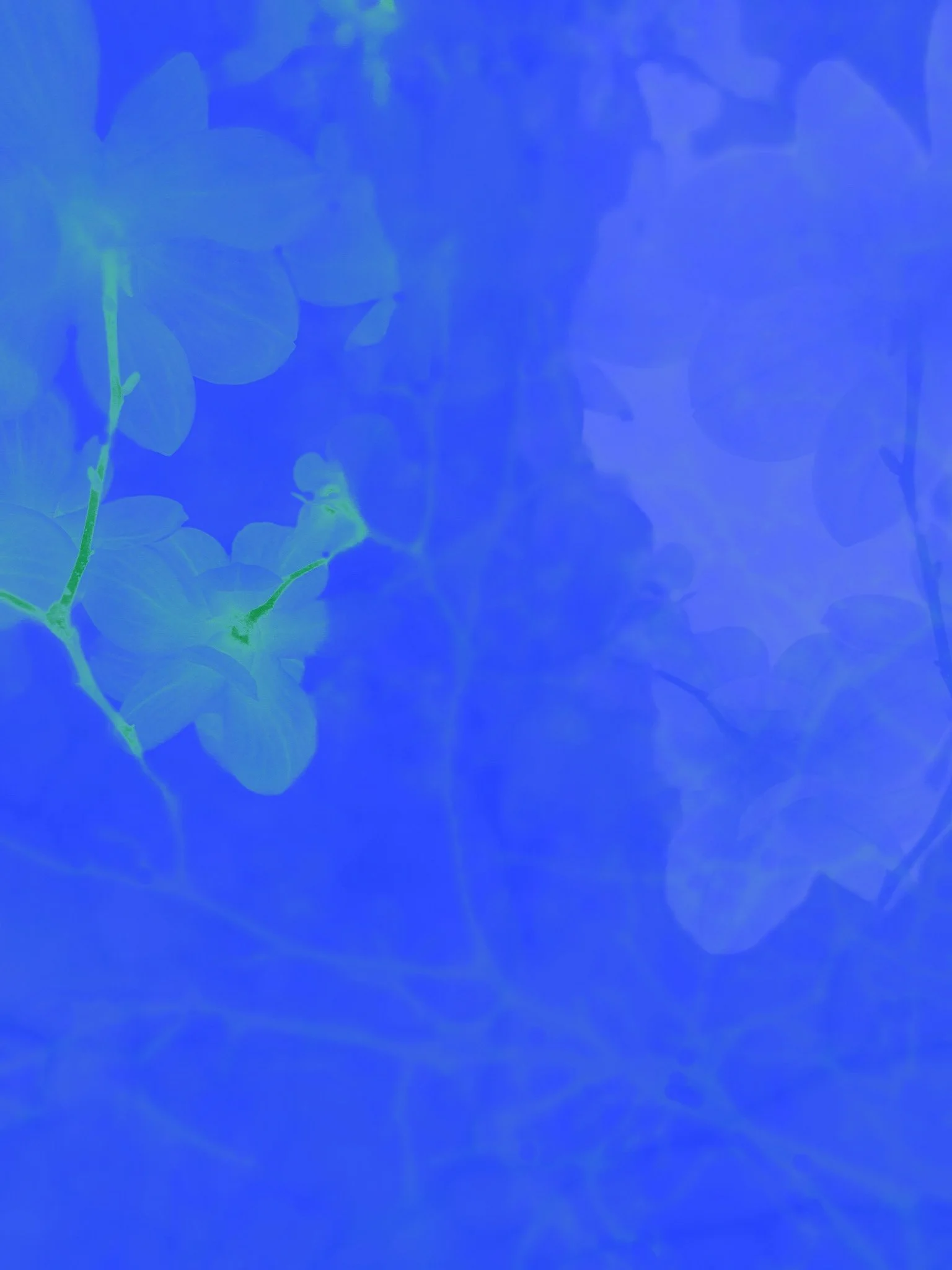 2021 / Untitled 7