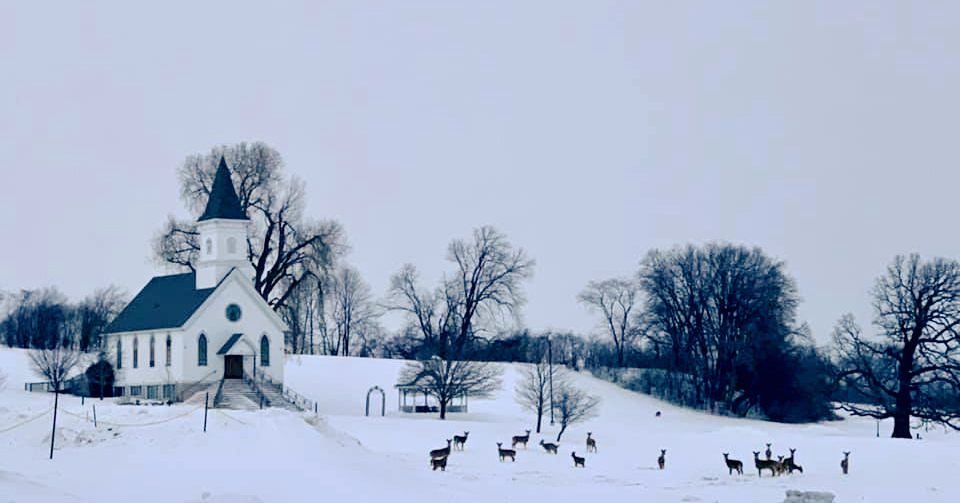 ❄️ Yesterday&rsquo;s first snowfall of the year reminded us just how magical Winter is at Springbrook! These flashback moments show that our venue is just as stunning, blanketed in snow, as it is during the rest of the year. From picturesque landscap