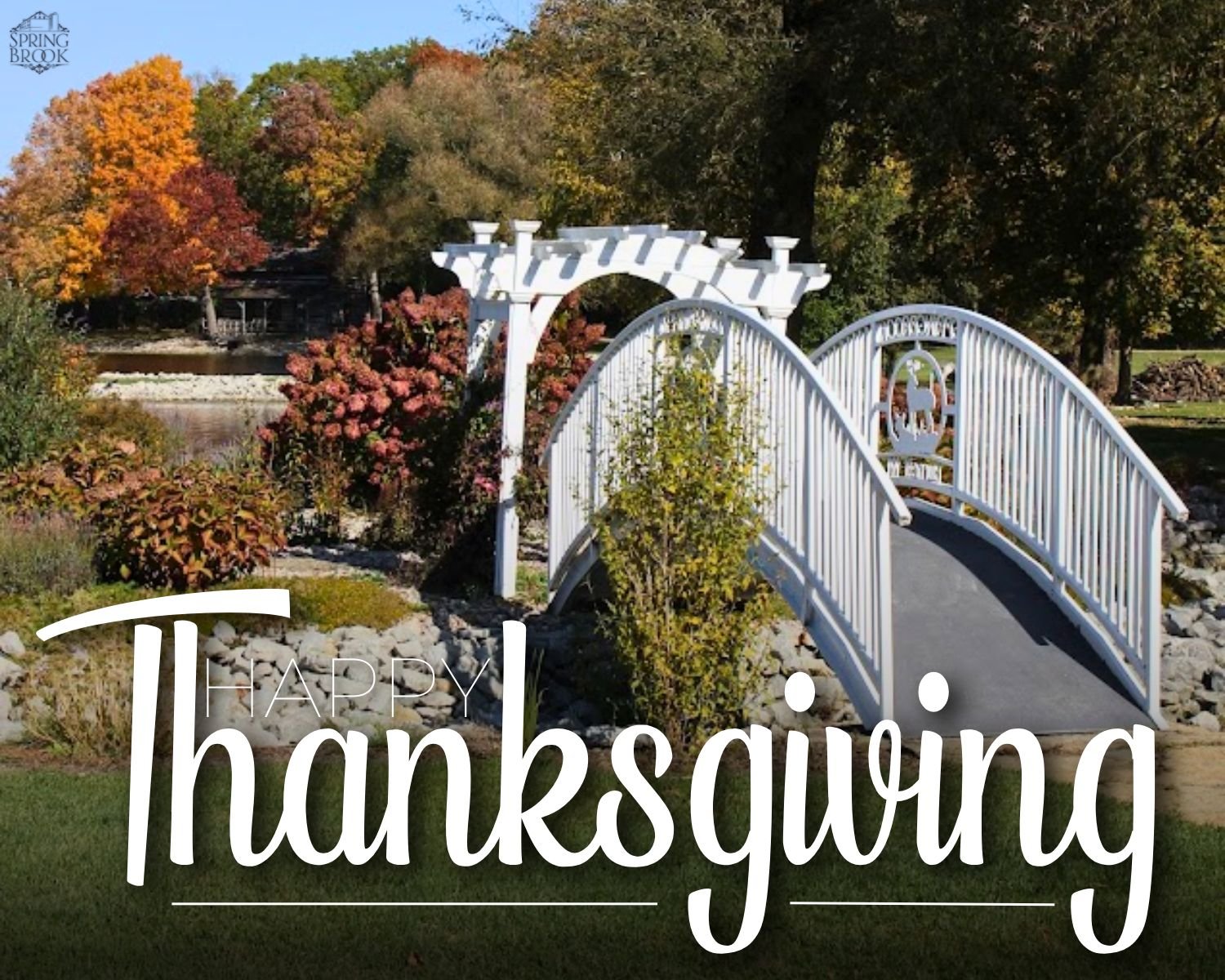 🦃 Happy Thanksgiving! 🍂

Today, we&rsquo;re thankful for the beauty that surrounds us and the incredible community that makes it all so special. From weddings to gatherings, you&rsquo;ve trusted us to be part of your cherished memories, and for tha