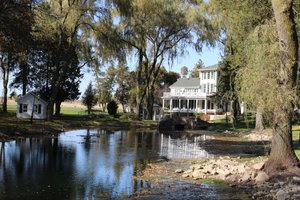 Springbrook Events