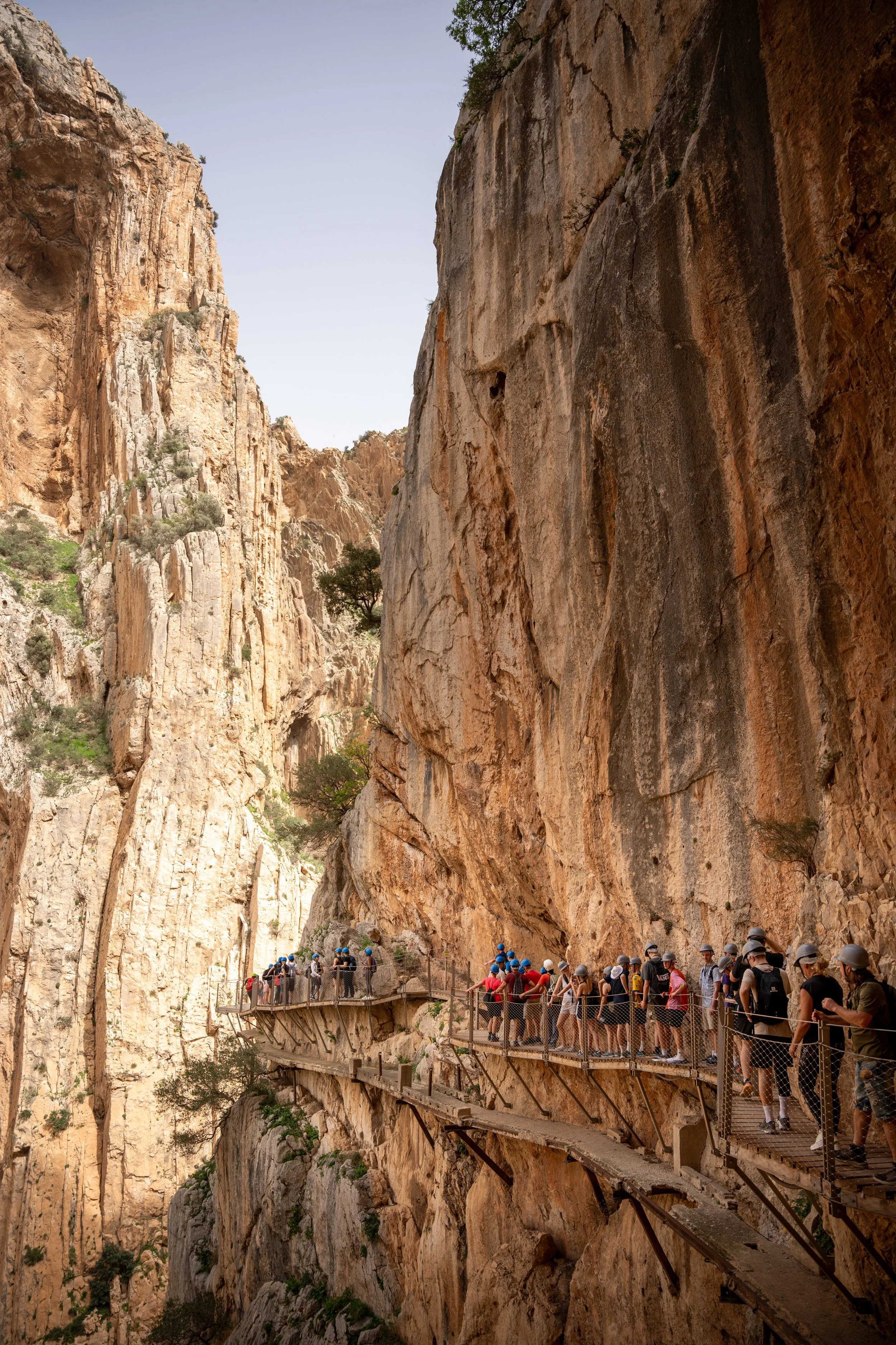 A large group of people wearing helmets walk along a narrow, wooden and metal walkway built into a cliffside.