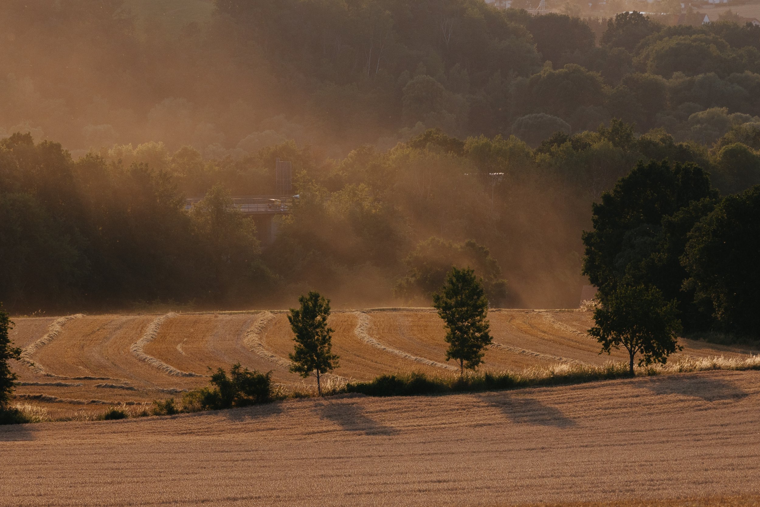 Fields and lush green trees in a rural landscape during sunset, with a hill and dense forest in the background.