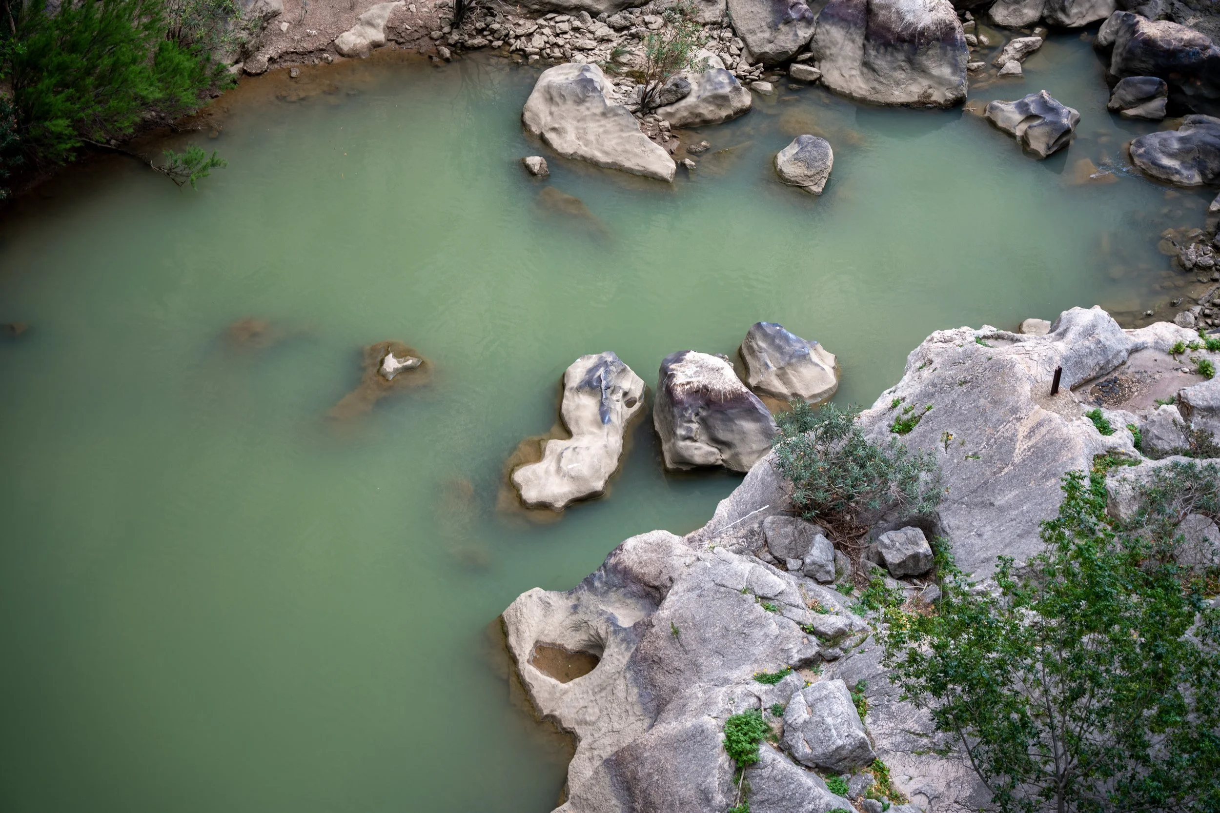 A small, greenish pond with large rocks and sparse bushes along the edges.