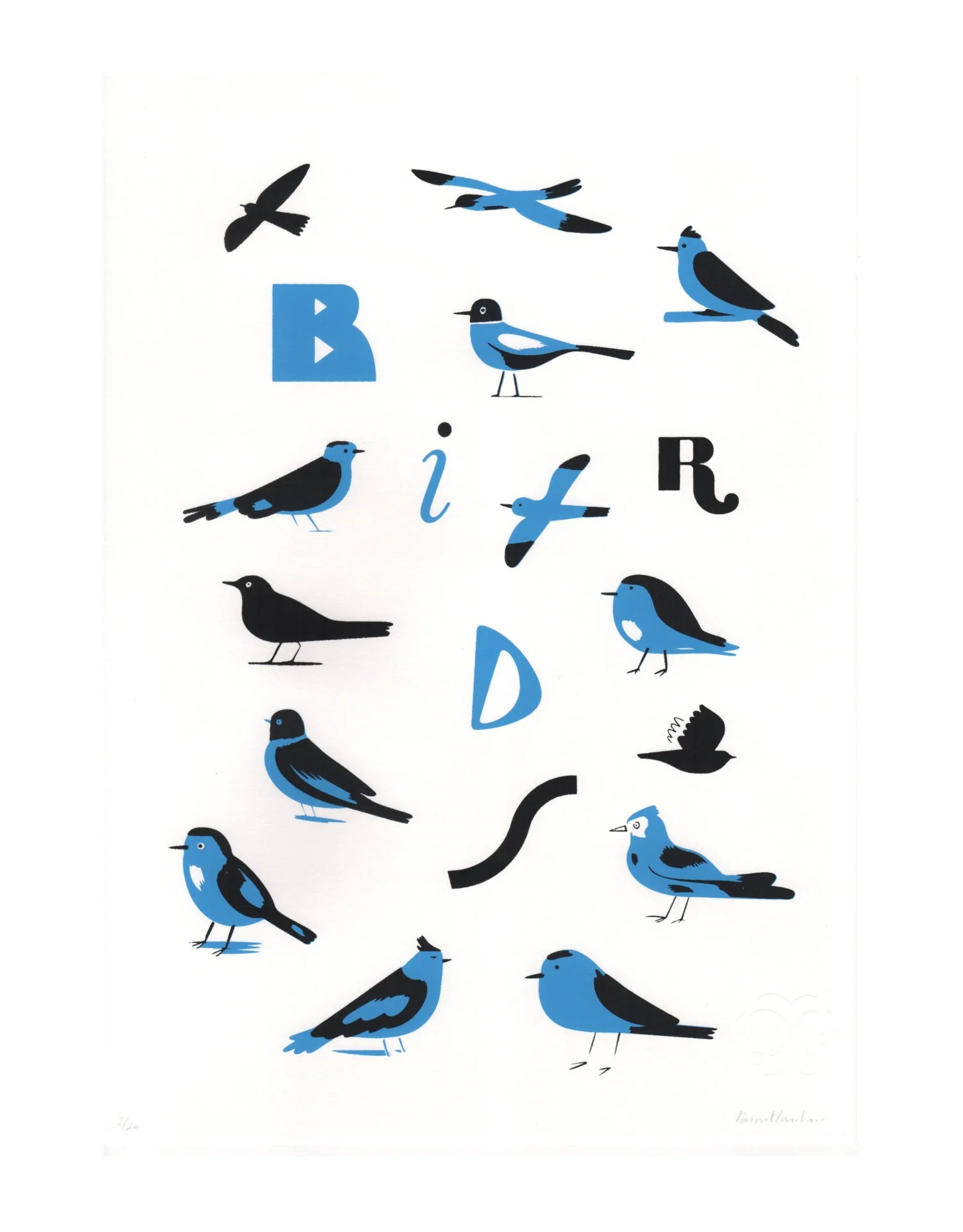 Birds