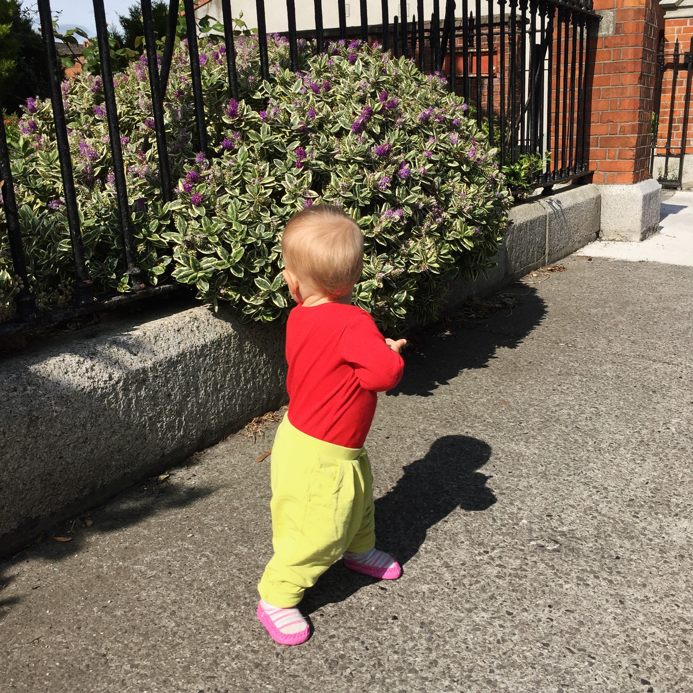 2015-07-09 10.10.13-1.jpg