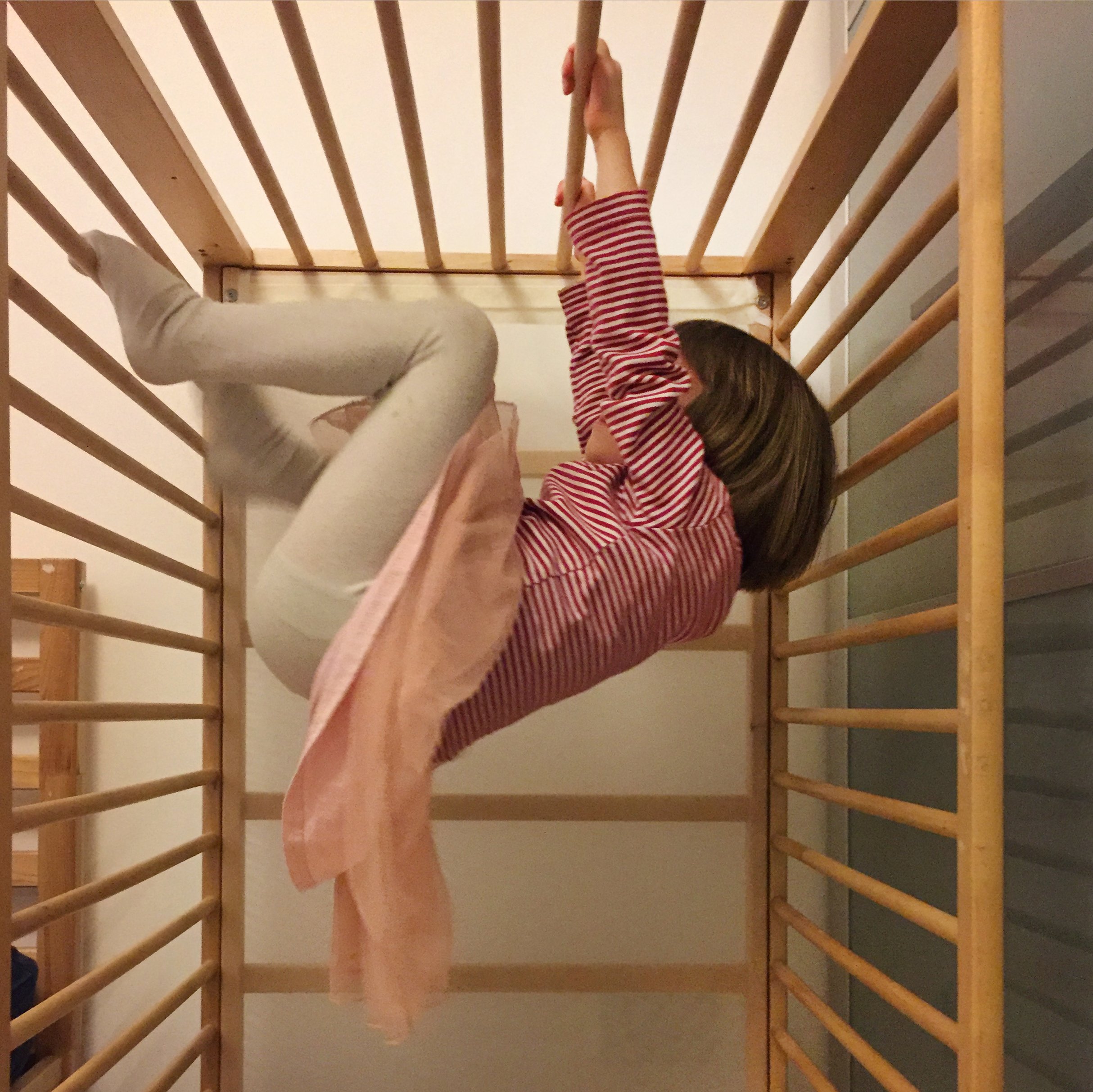 2019-02-03.jpg