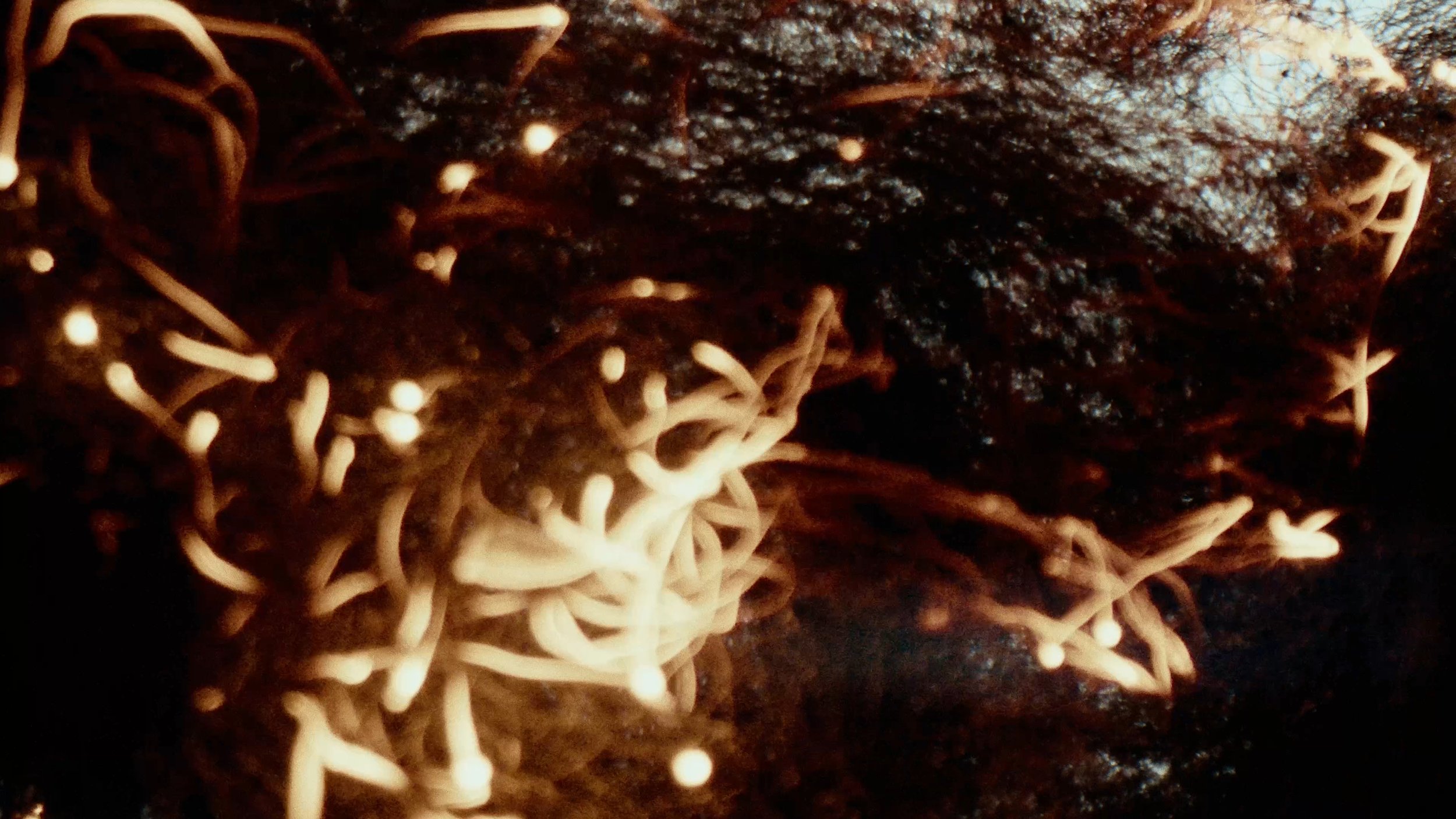 Still 2026-04-10 153725_1.7.3.jpg