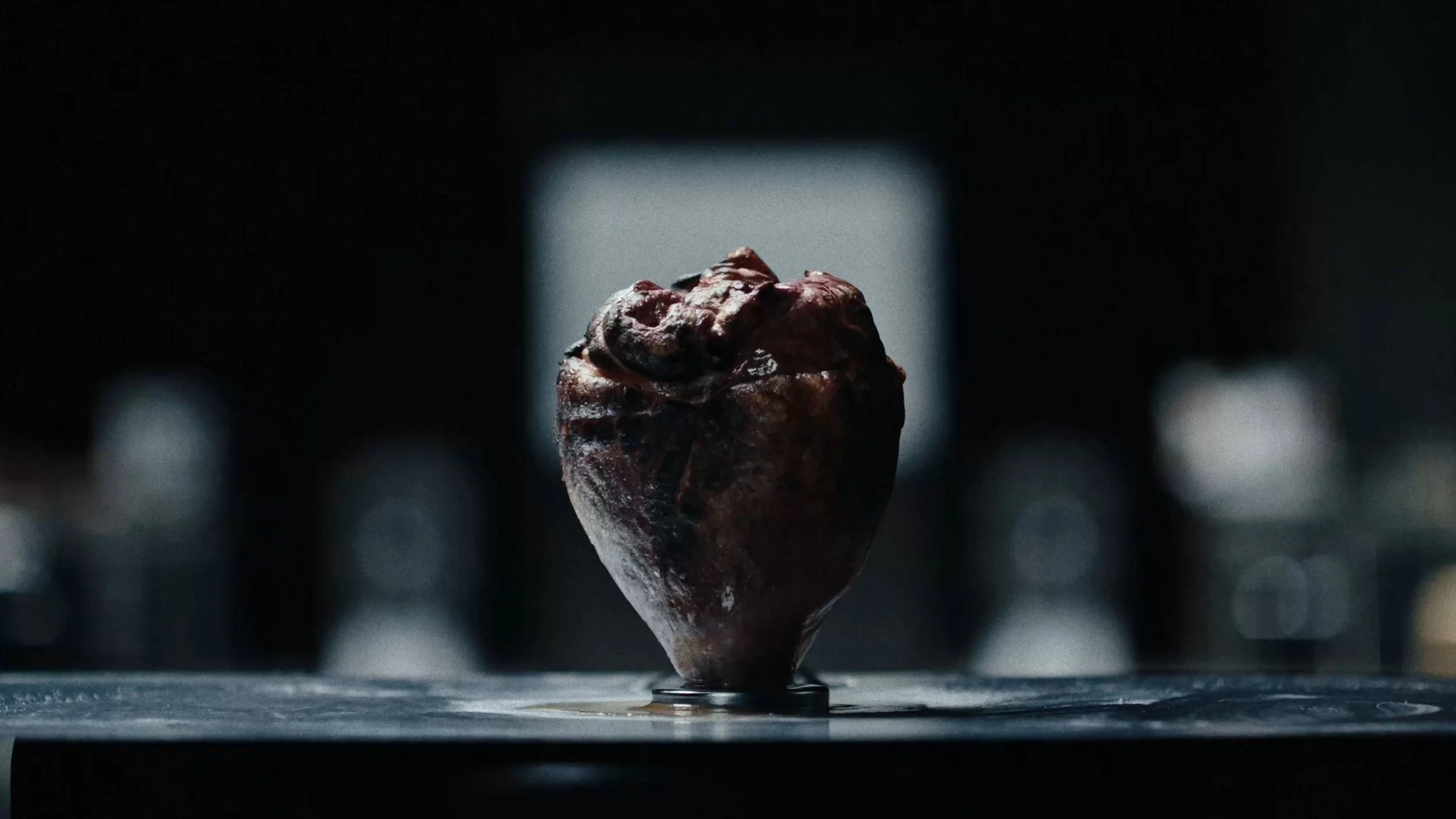 Still 2026-04-10 153725_1.2.1.jpg