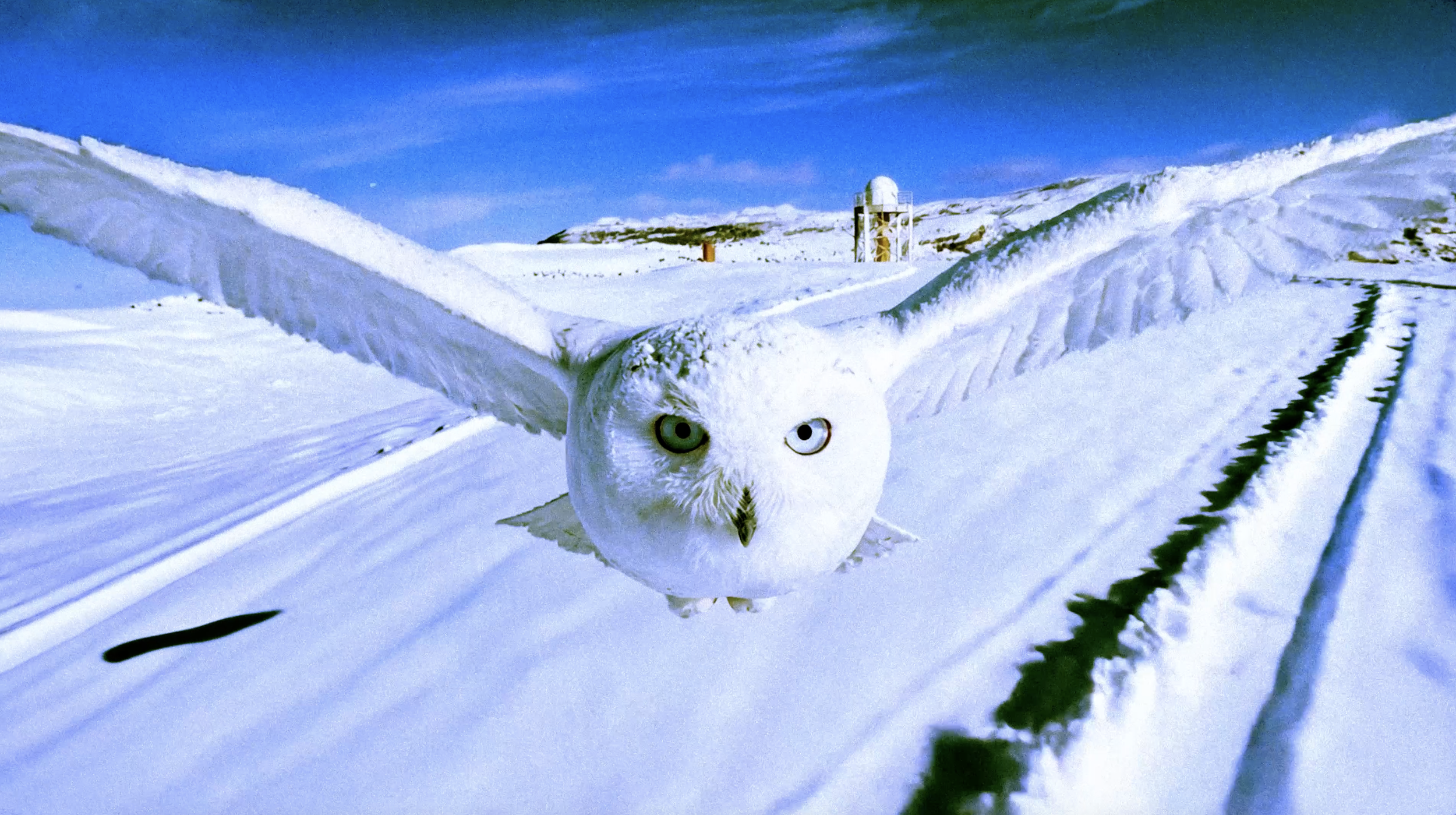 Capture d’écran 2026-02-20 à 10.41.29.png