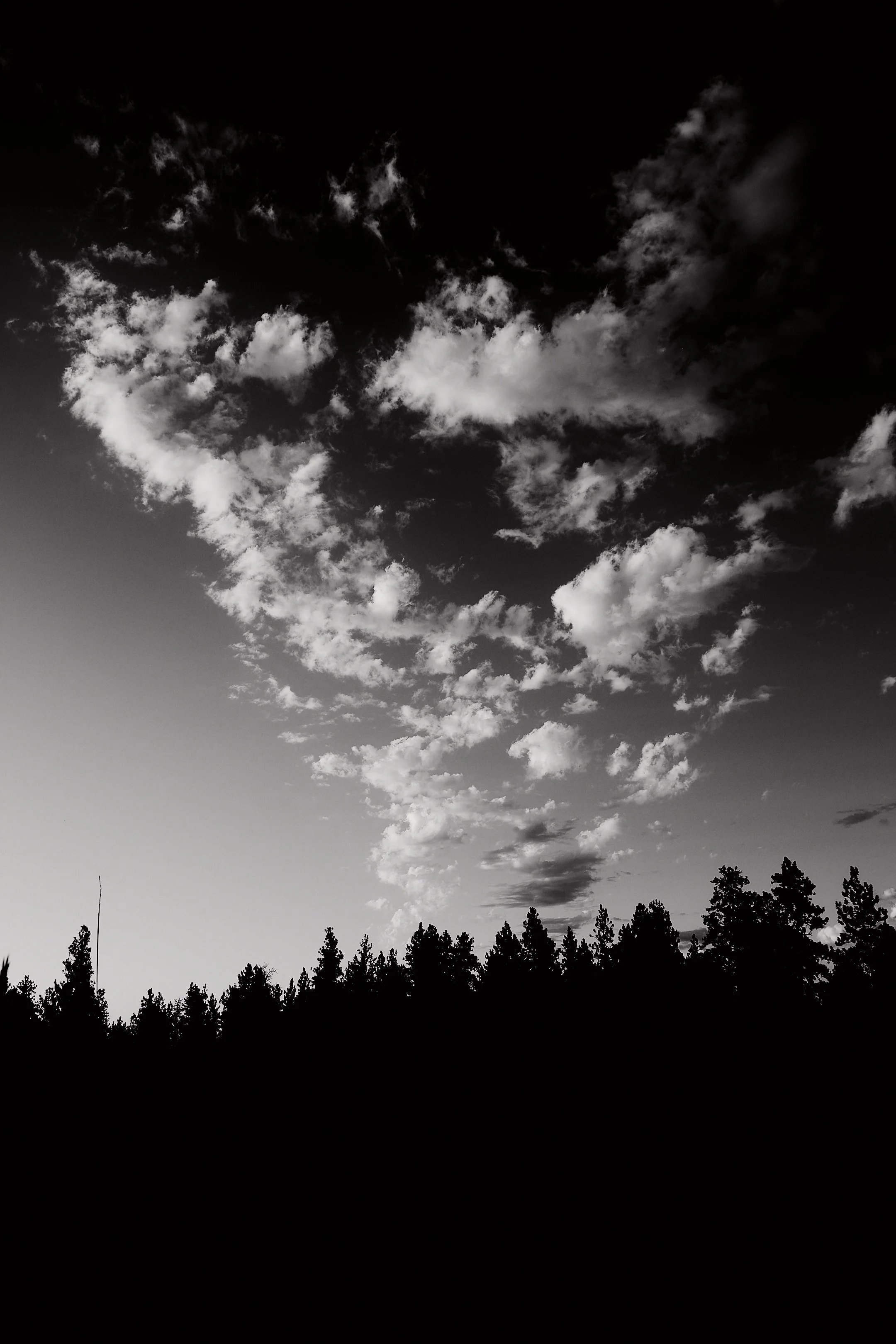 Slavin_005_26-07-15.jpg