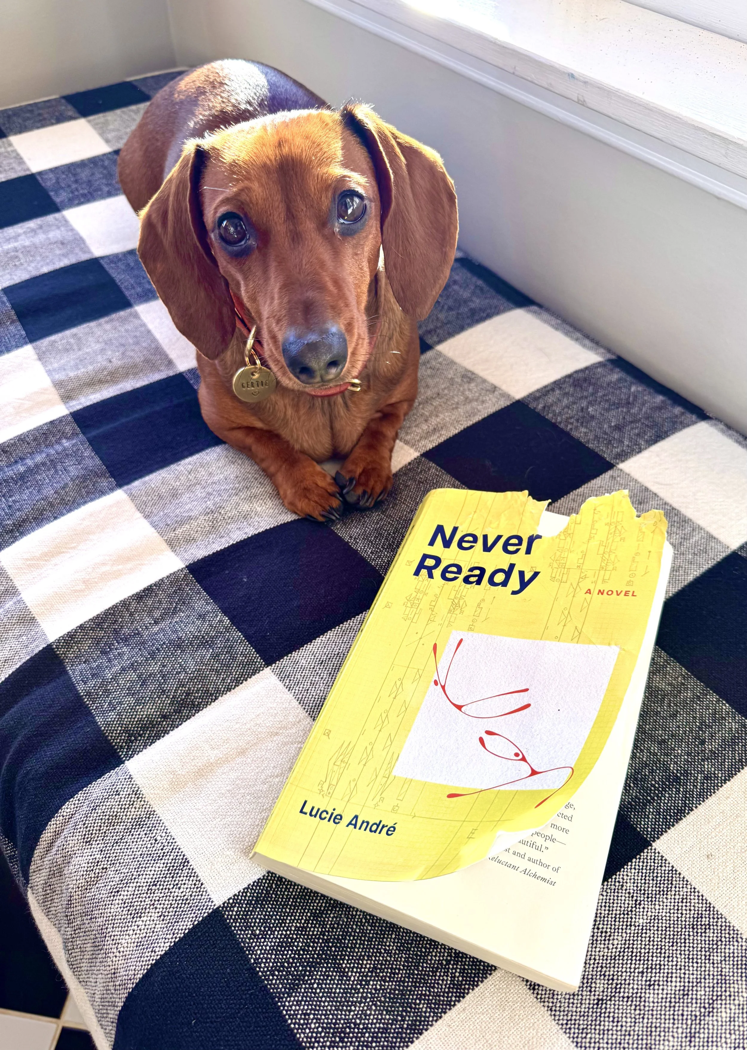 Never Ready Paperback