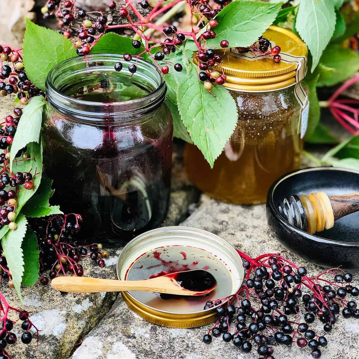 Jar-of-Elderberry-syrup.jpg