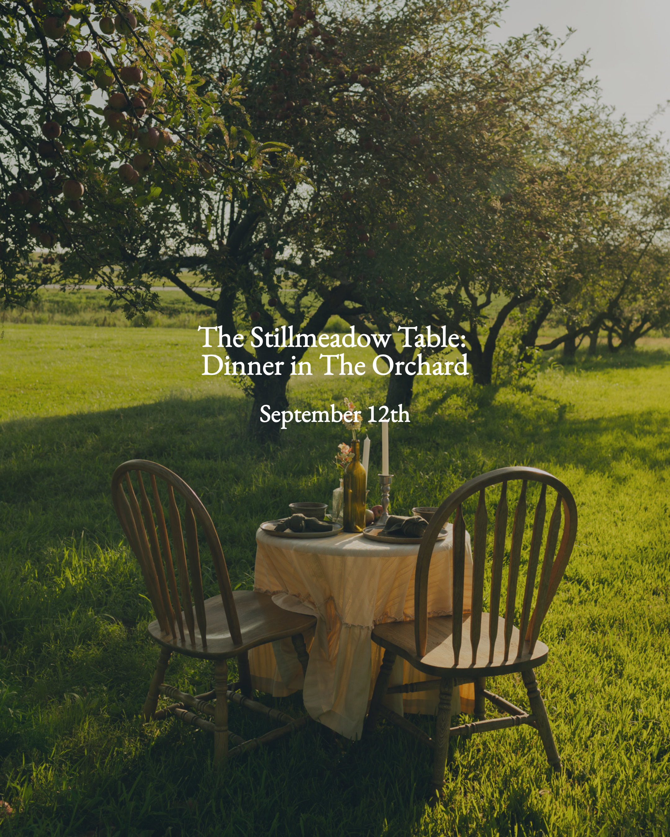 The Stillmeadow Table—Dinner in the Orchard