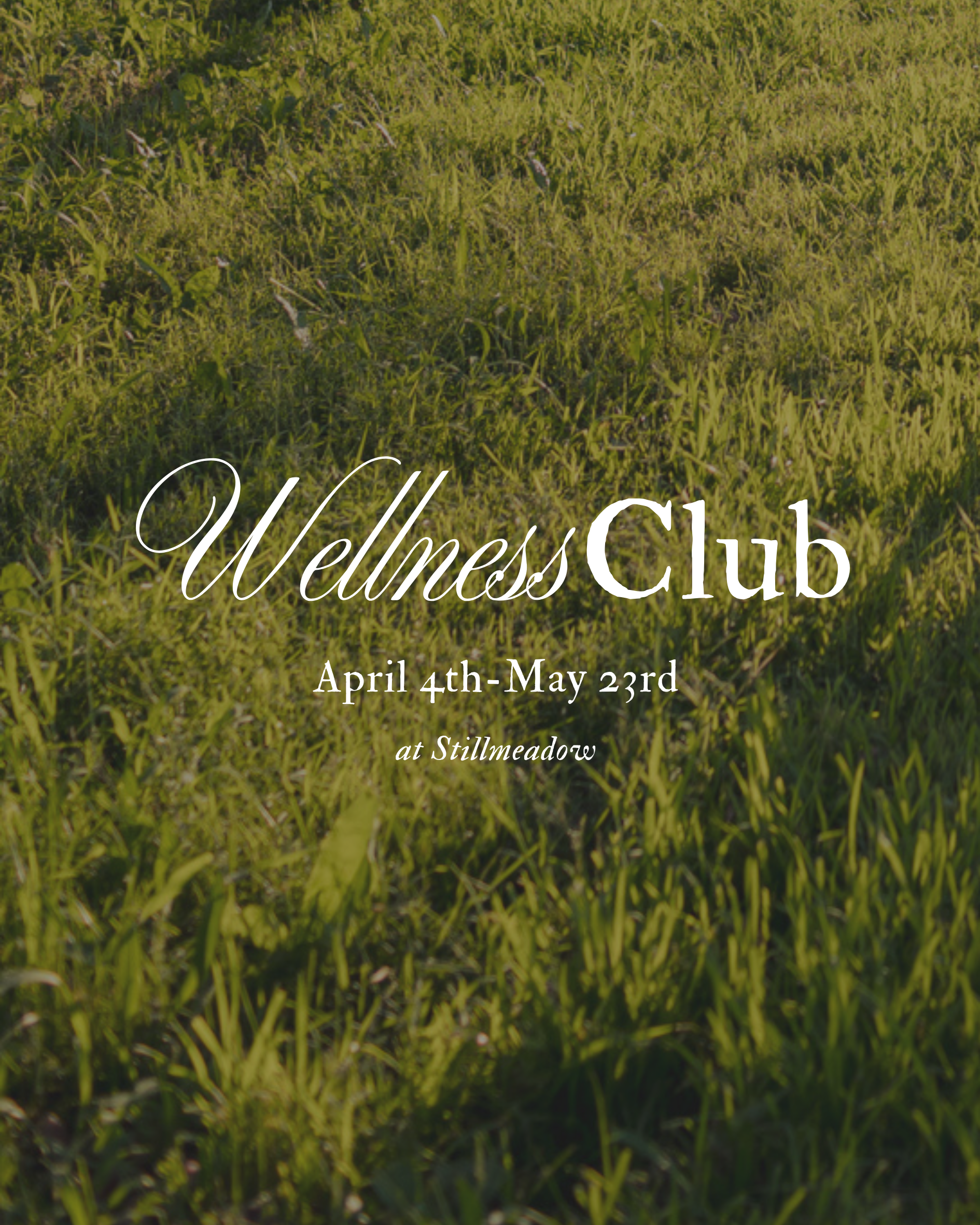 Stillmeadow Spring Wellness Club