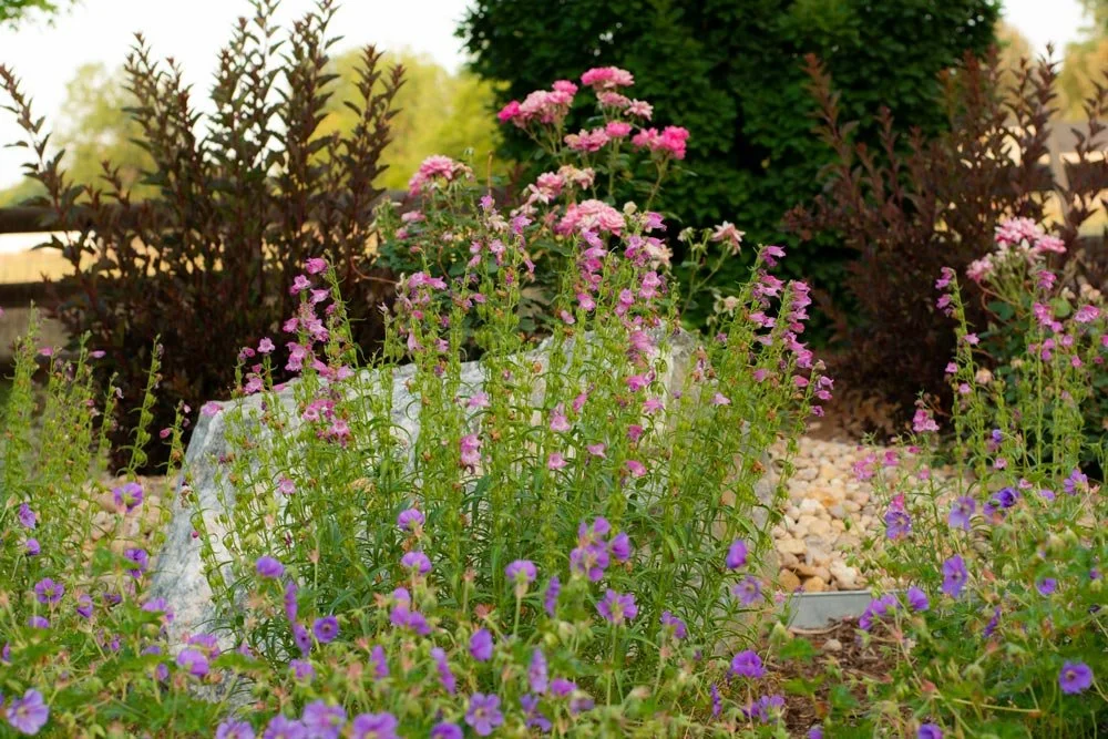 Xeriscaping Specialists in Boulder County, Colorado — Boulder Landscape ...