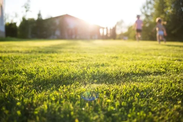Sod vs Artificial Turf: Pros &amp; Cons of Each and Ongoing Care