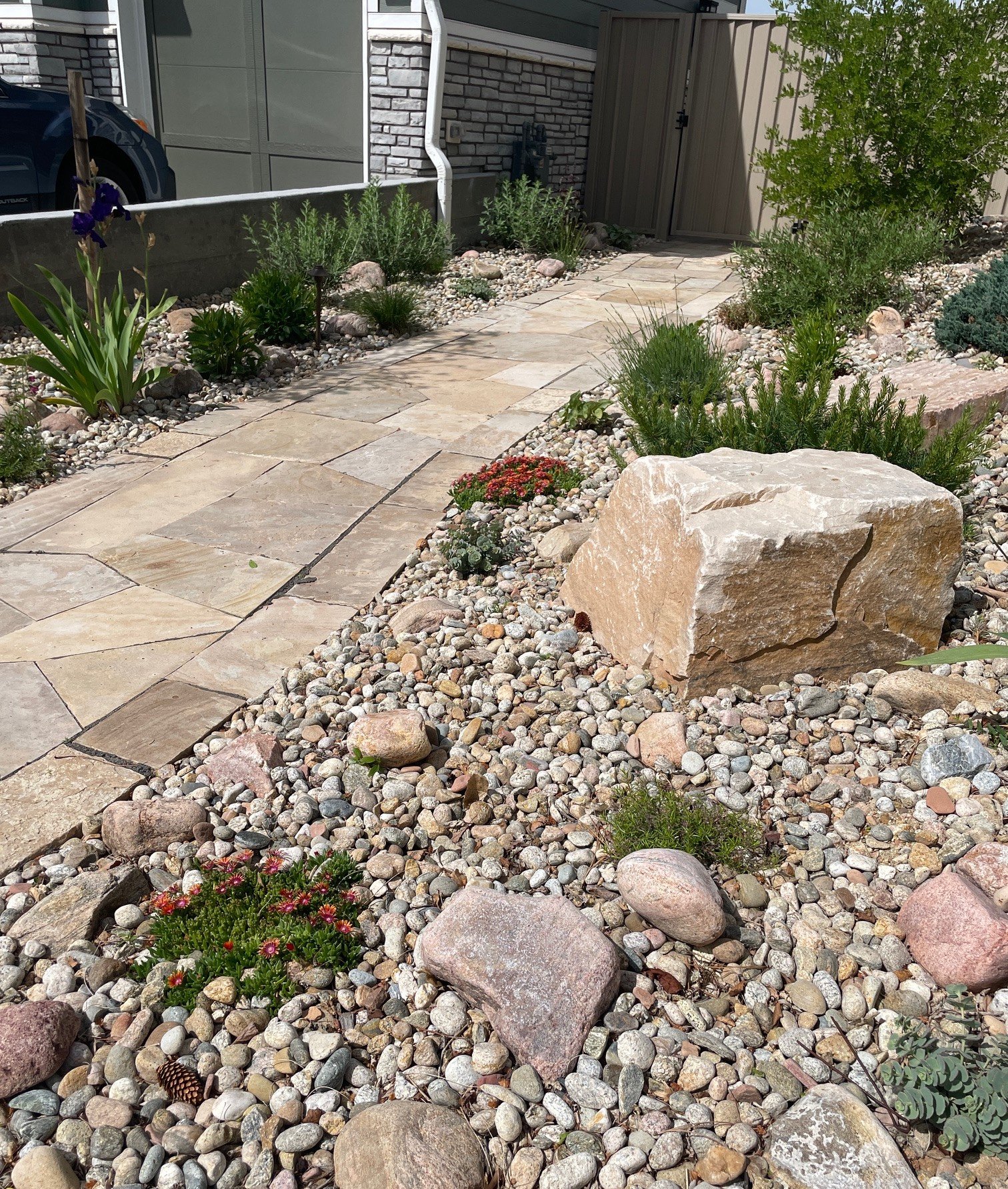 Fire-Resistant Landscaping in Boulder: Creating a Safer, More Resilient Yard
