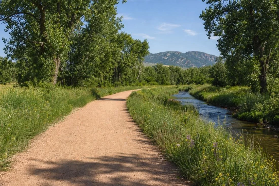 Summer landscape inspired by Coal Creek Trail in Louisville Colorado, with a creek, cottonwoods and Front Range foothills