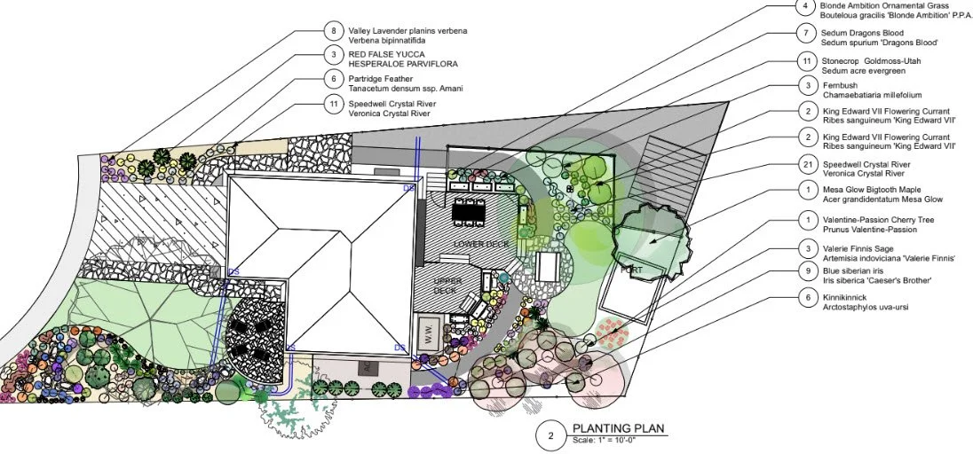 Kristin Wachtel Design 2.jpg