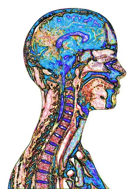 Burn out, Anxious, and overwhelmed? This one supplement can help support your nervous system