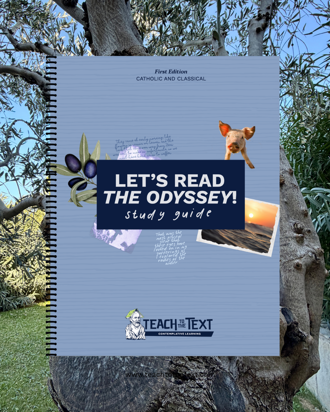 www.teachtothetext.com-10.png